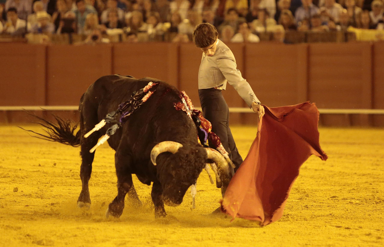 Imágenes del festival benéfico de toros en beneficio de la Hermandad de la Macarena