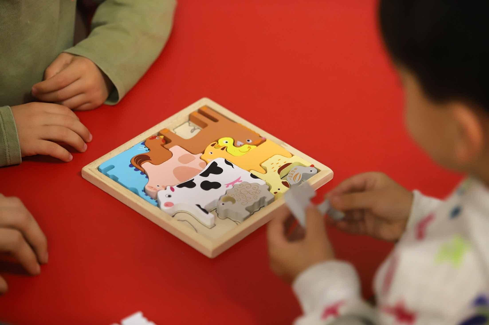 Imágenes de la asociación AONES