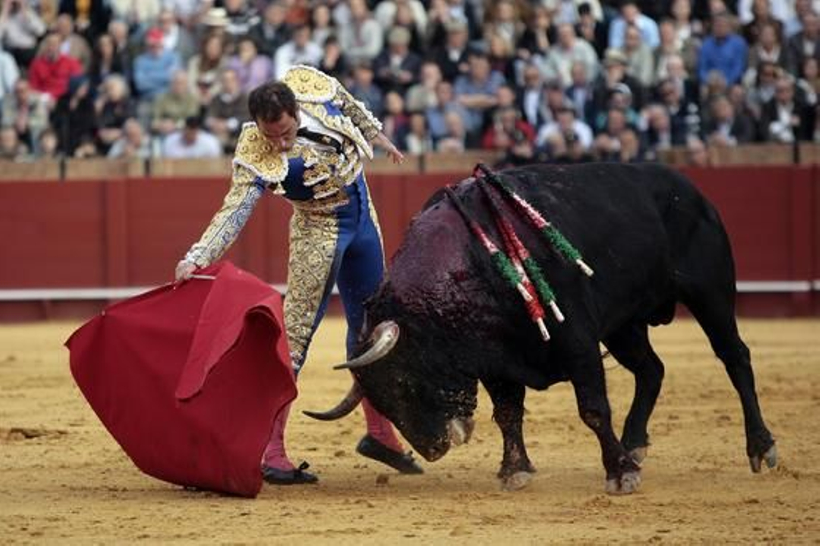 Salvador Cortés.

Foto: Juan Carlos Muñoz