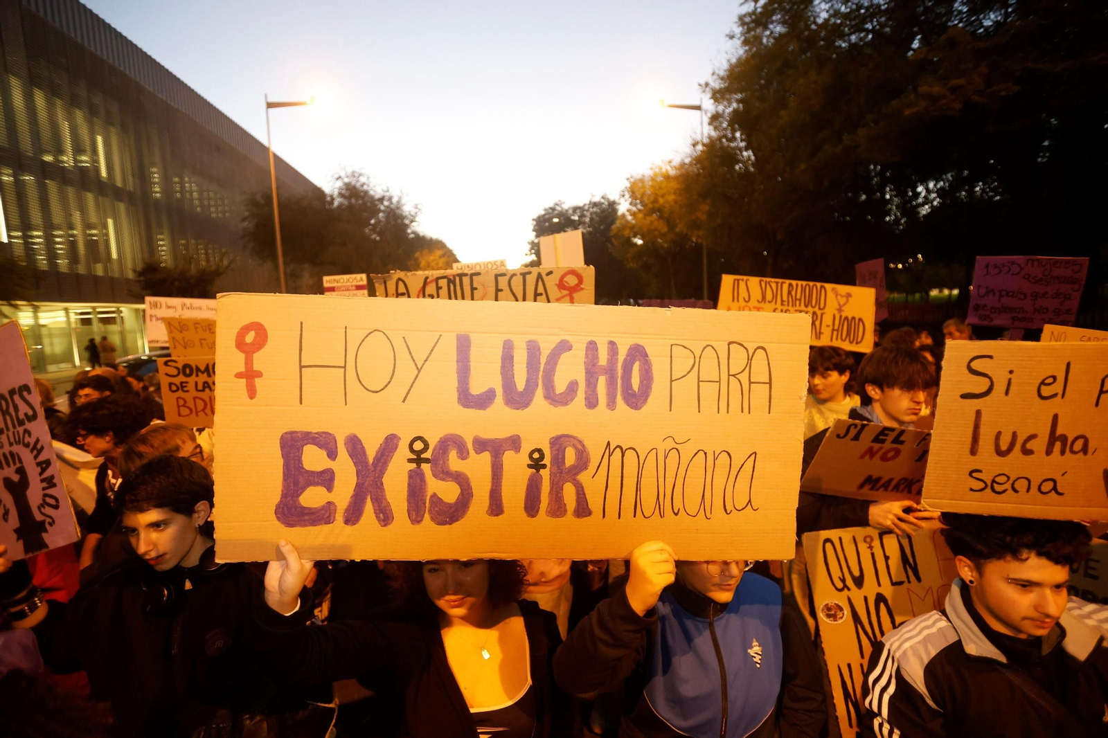 La manifestación del 25N en Córdoba