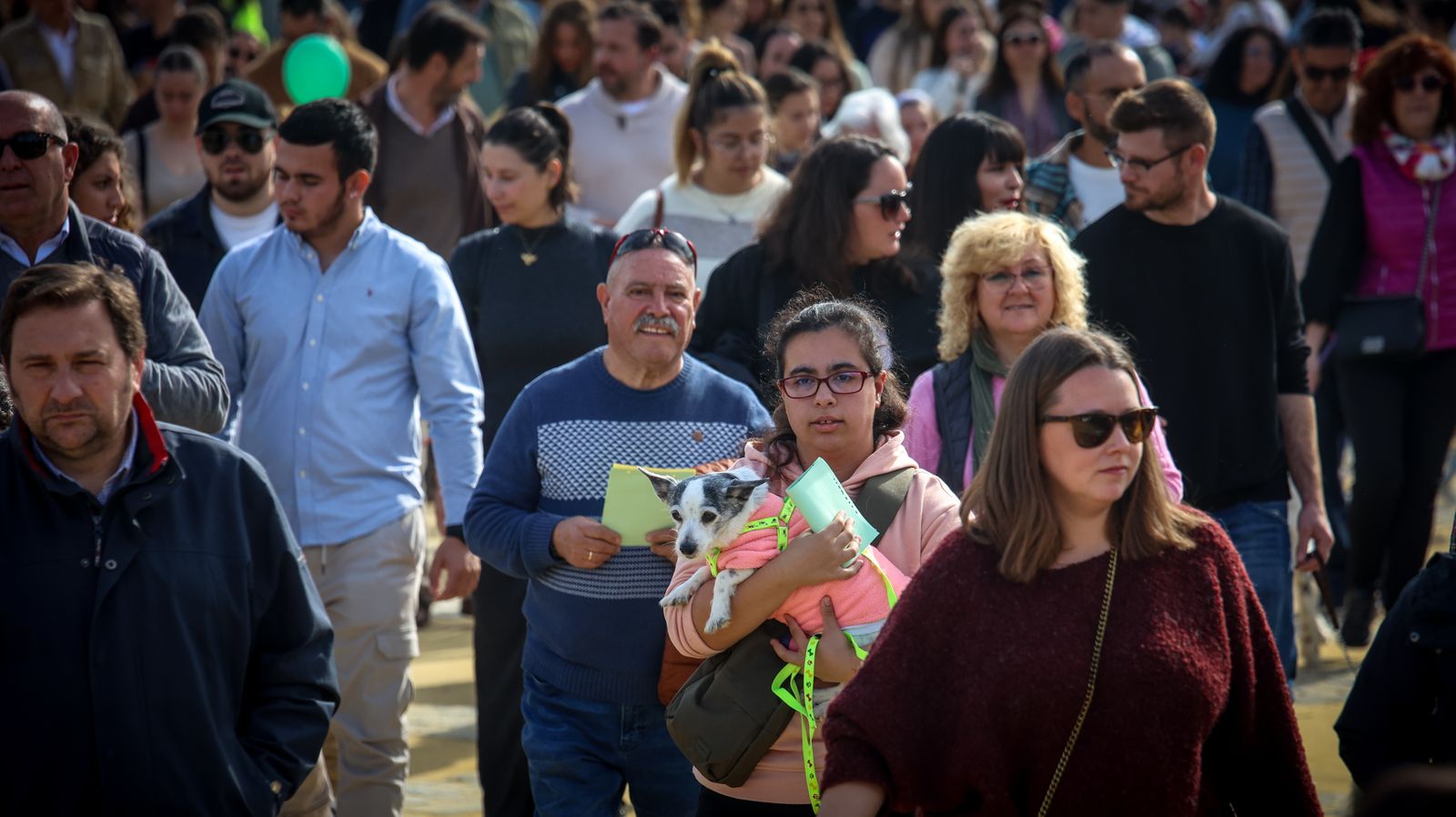 Fiesta de san Antón 2024 en Jerez