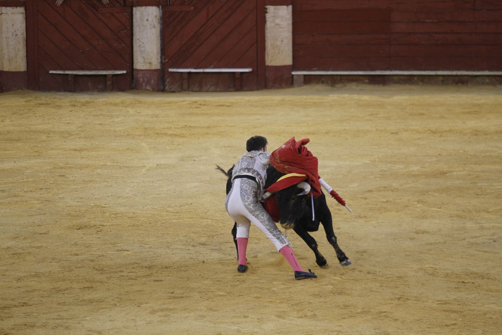 Fotogalería novillada Escuela Taurina de Almería. Feria de Almería 2019