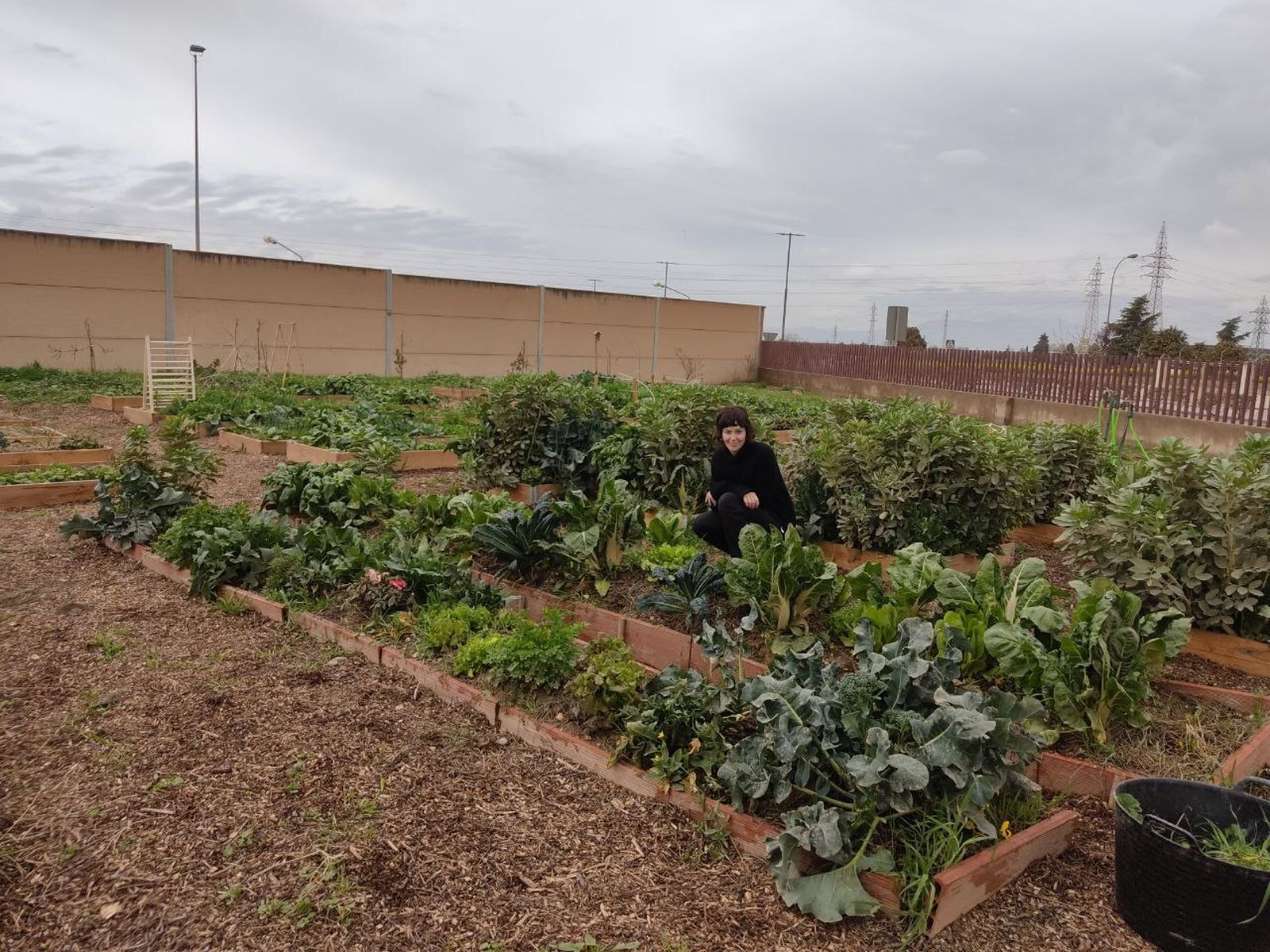 Imagen del huerto urbano de Armilla