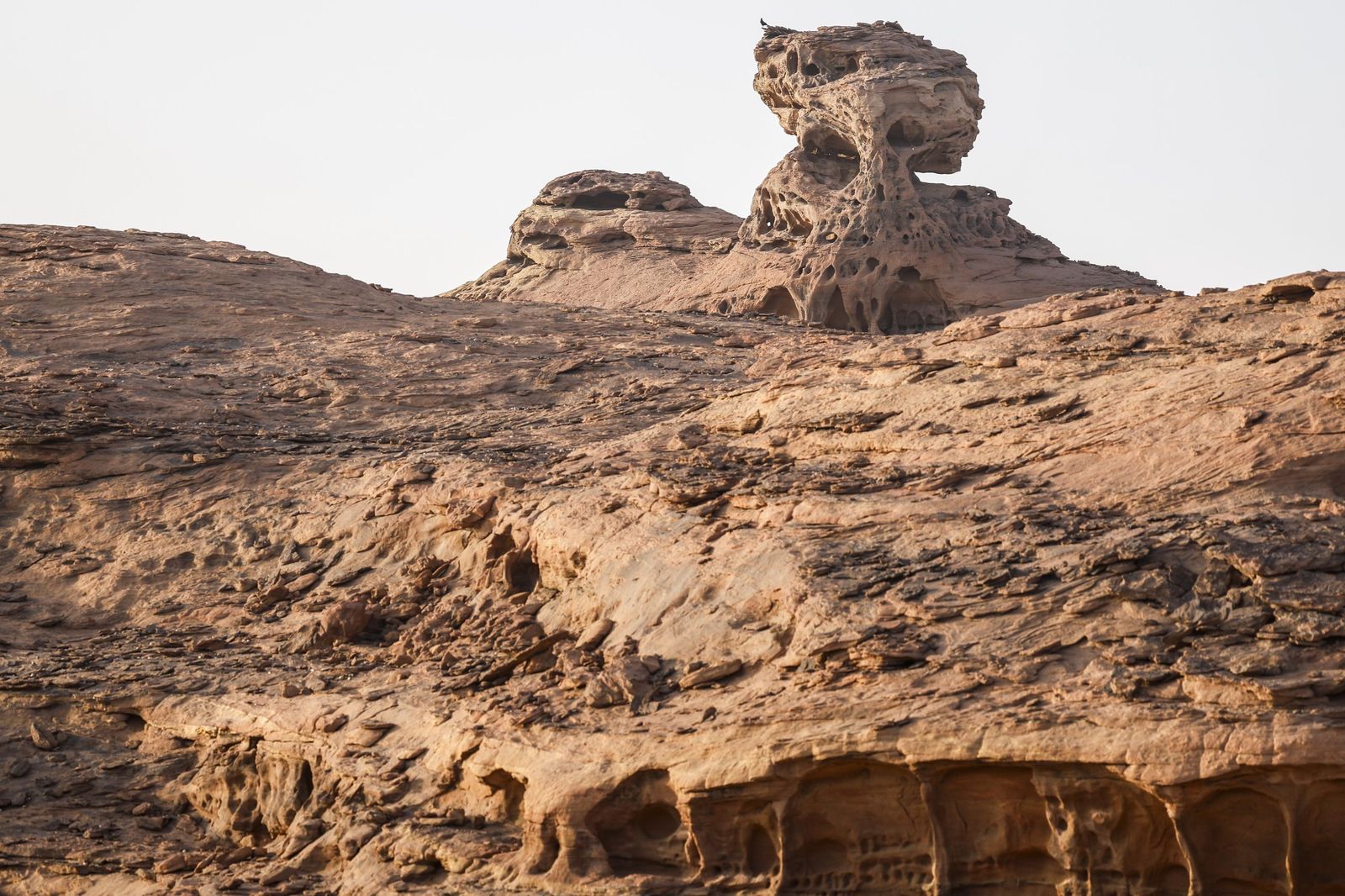 Las mejores fotos del Rally Dakar | Cuarta etapa