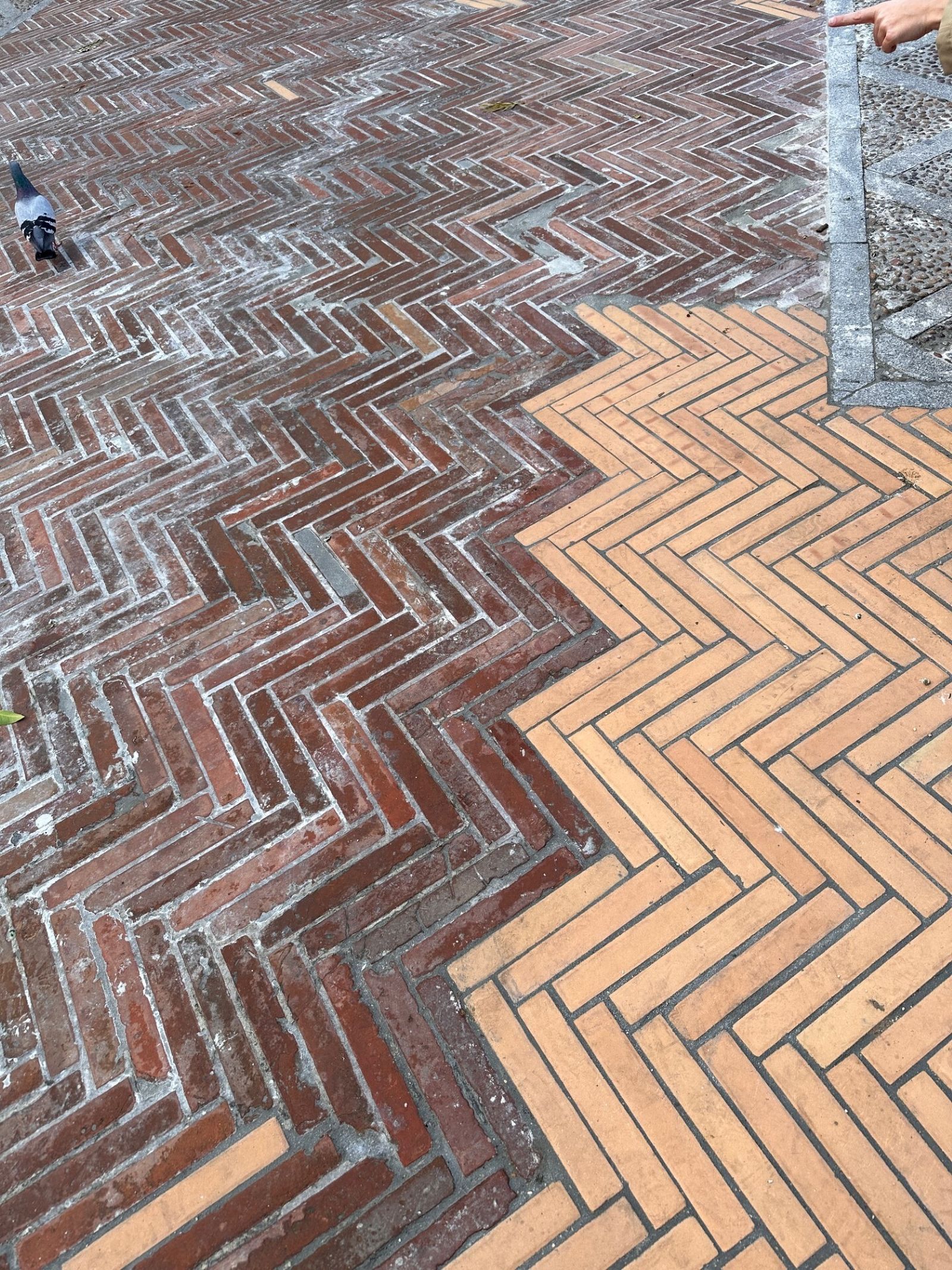 Detalle de los nuevos ladrillos colocados.