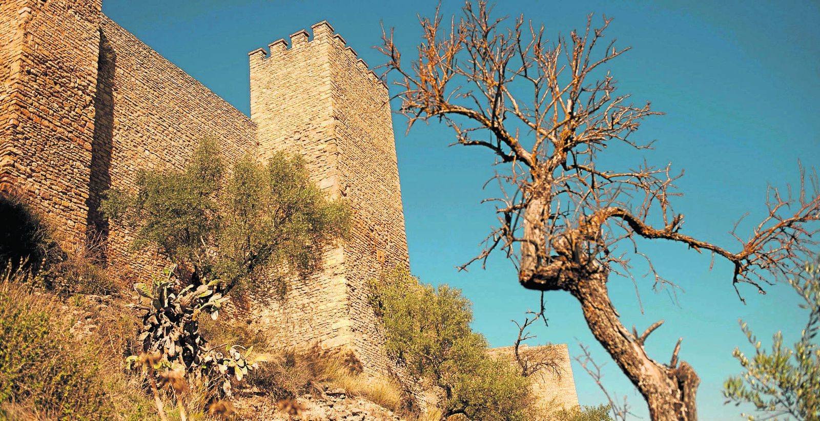 Vista de la muralla de Ronda.