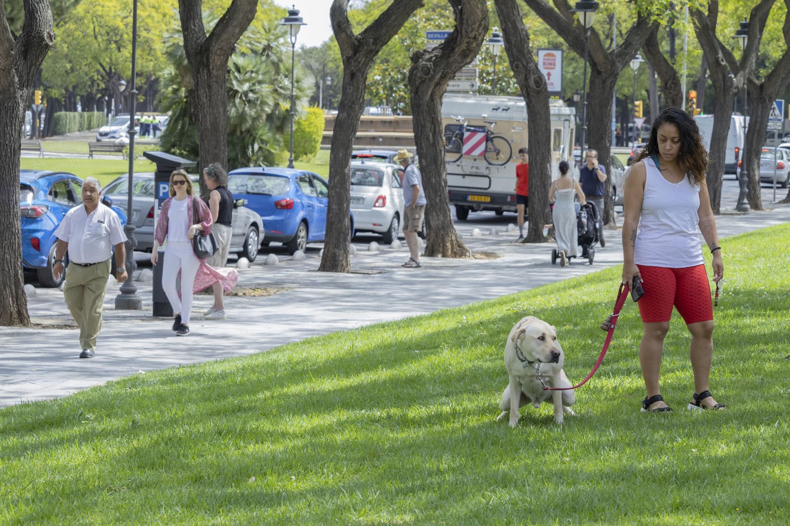 Imágenes del lunes 12 de junio en Huelva