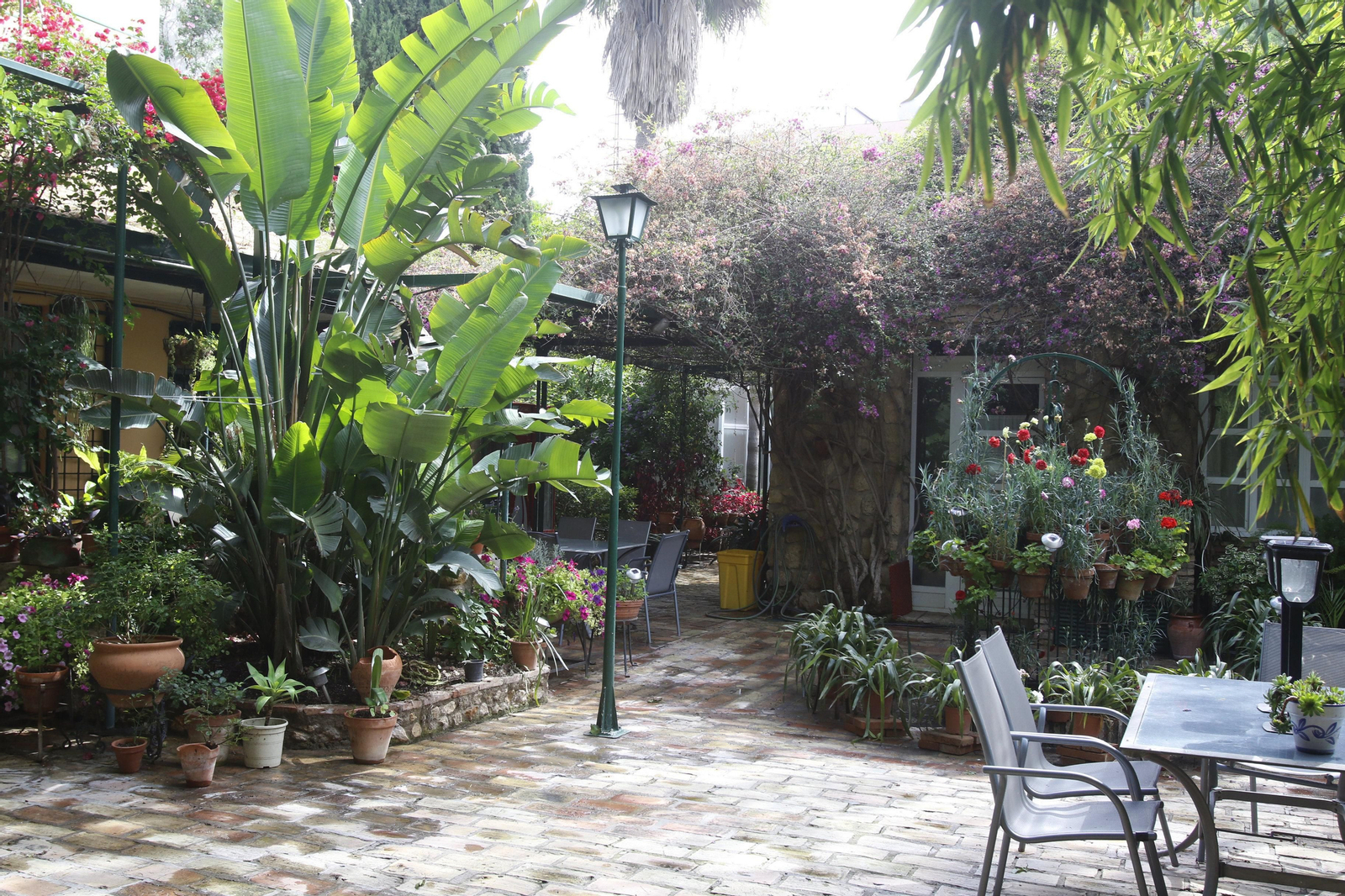 Los Patios de Córdoba en tiempos de crisis: Plaza de las Tazas, 11