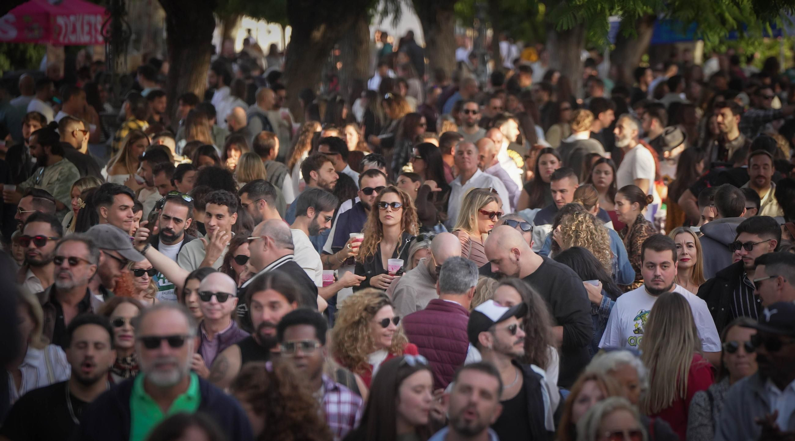 Búscate en el Rabanito Festival Jerez 2025