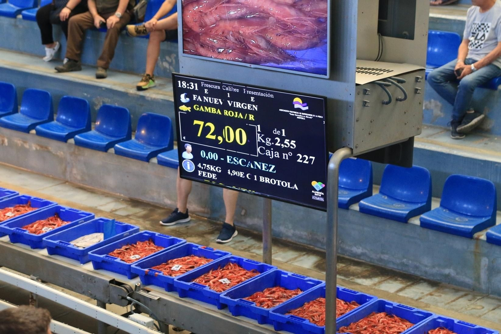 Vea cómo se descargan y se venden en la lonja la Gamba Roja de Almería