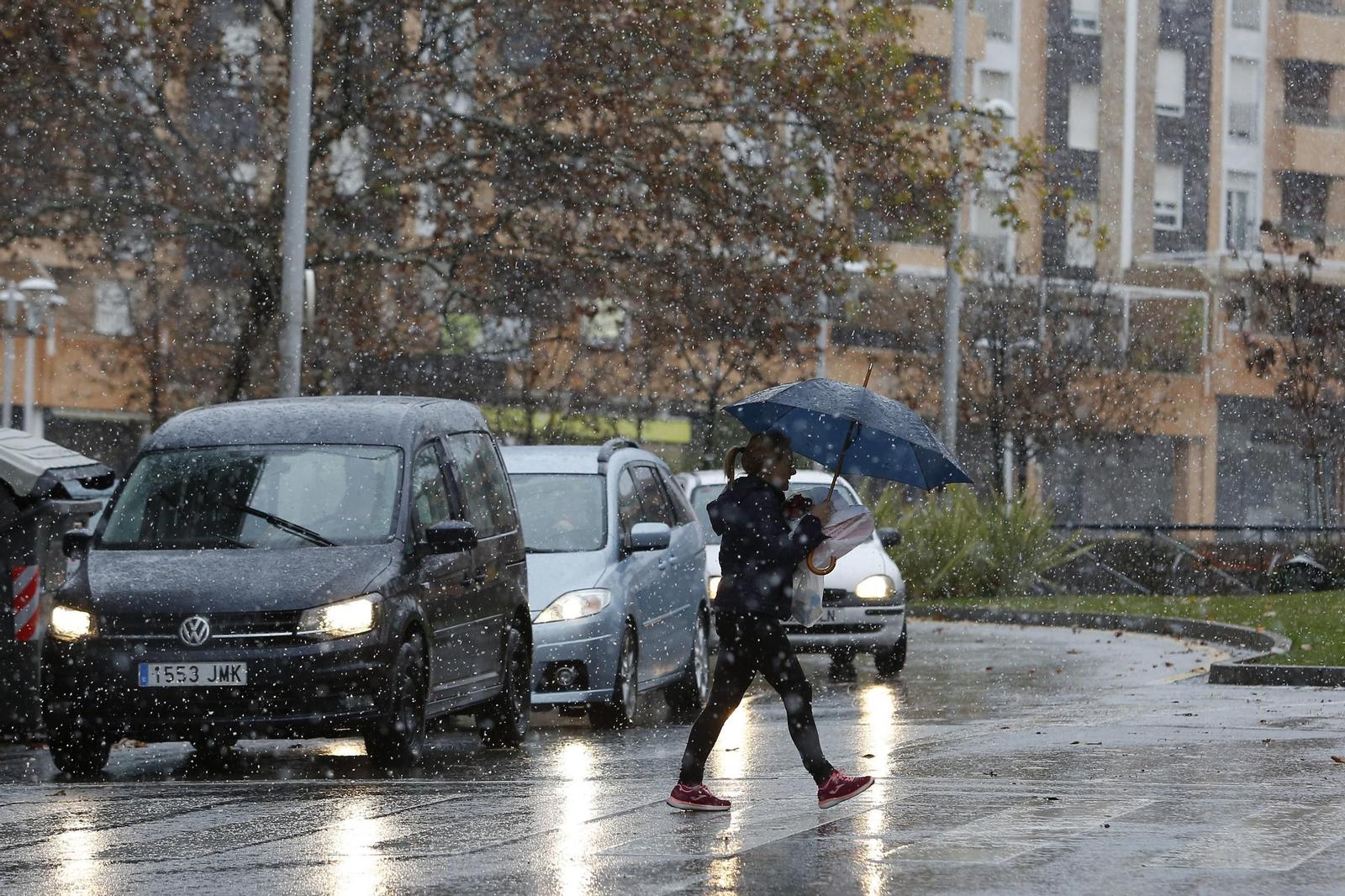 La nevada de Granada, en imágenes