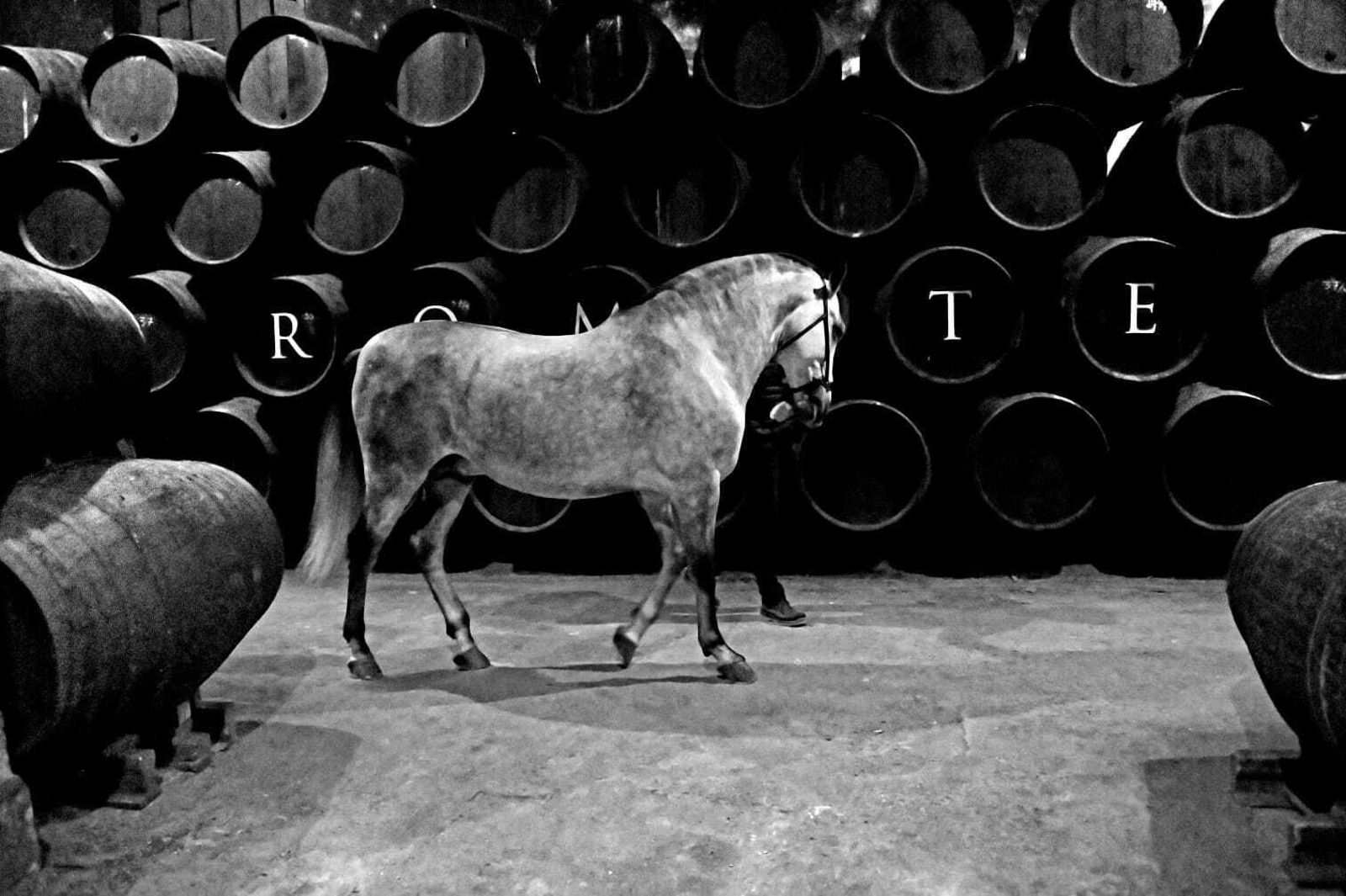 Galería fotográfica del rodaje de 'Siete Jereles'