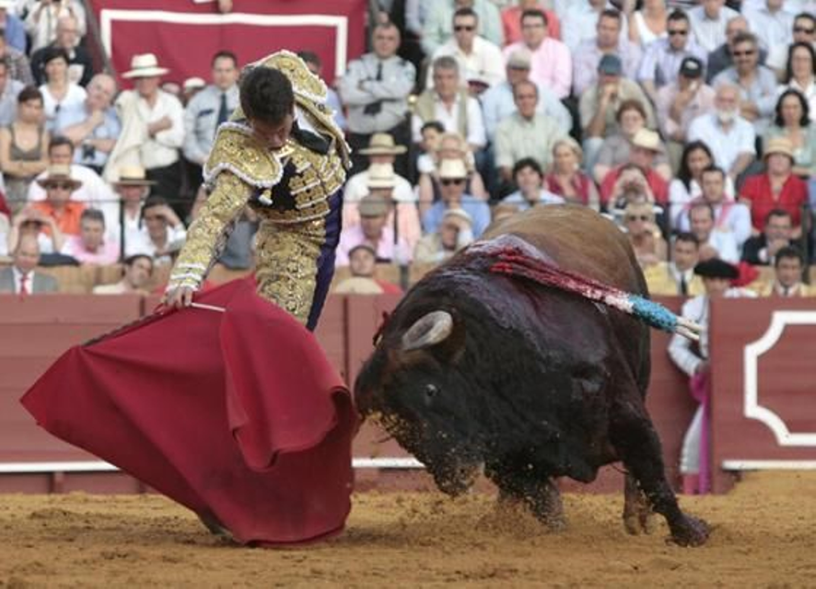 Manzanares con el quinto de la tarde en la treceava del abono de La Maestranza.

Foto: Juan Carlos Muñoz