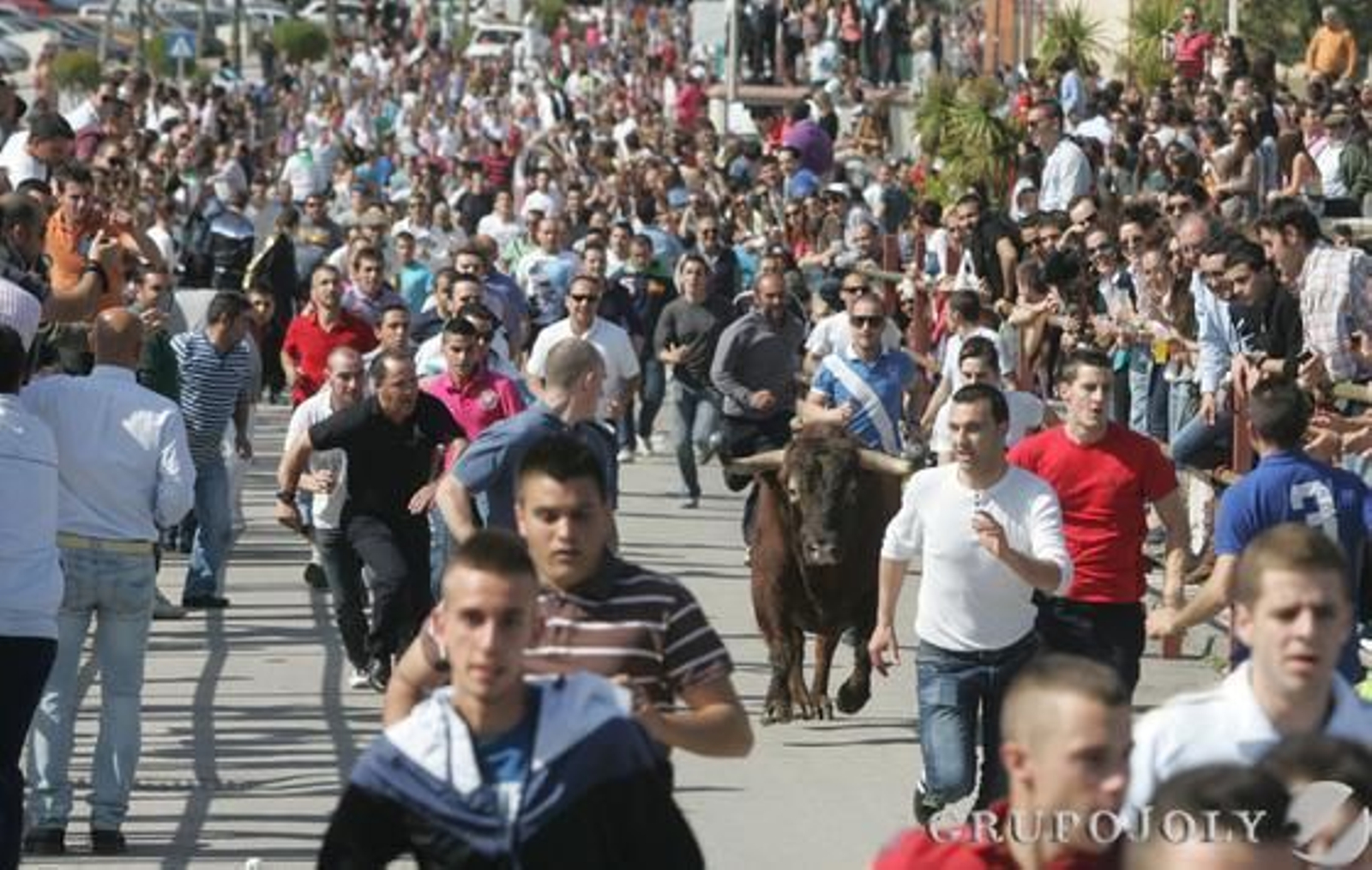 Foto: J.M.Q./Erasmo Fenoy