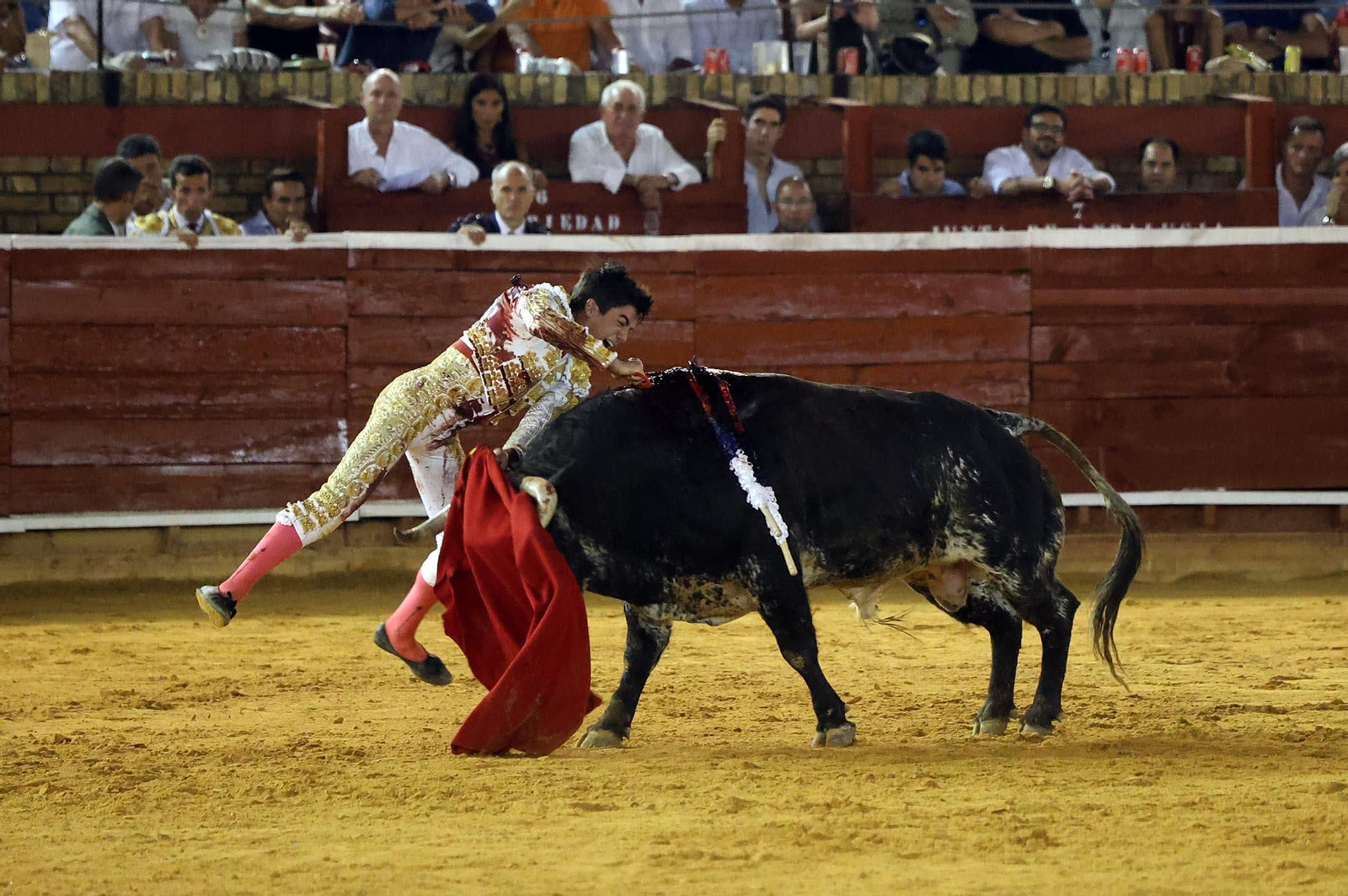 Toros La Merced 2025: Imágenes de la corrida de David de Miranda, Marco Pérez y Borja Jiménez
