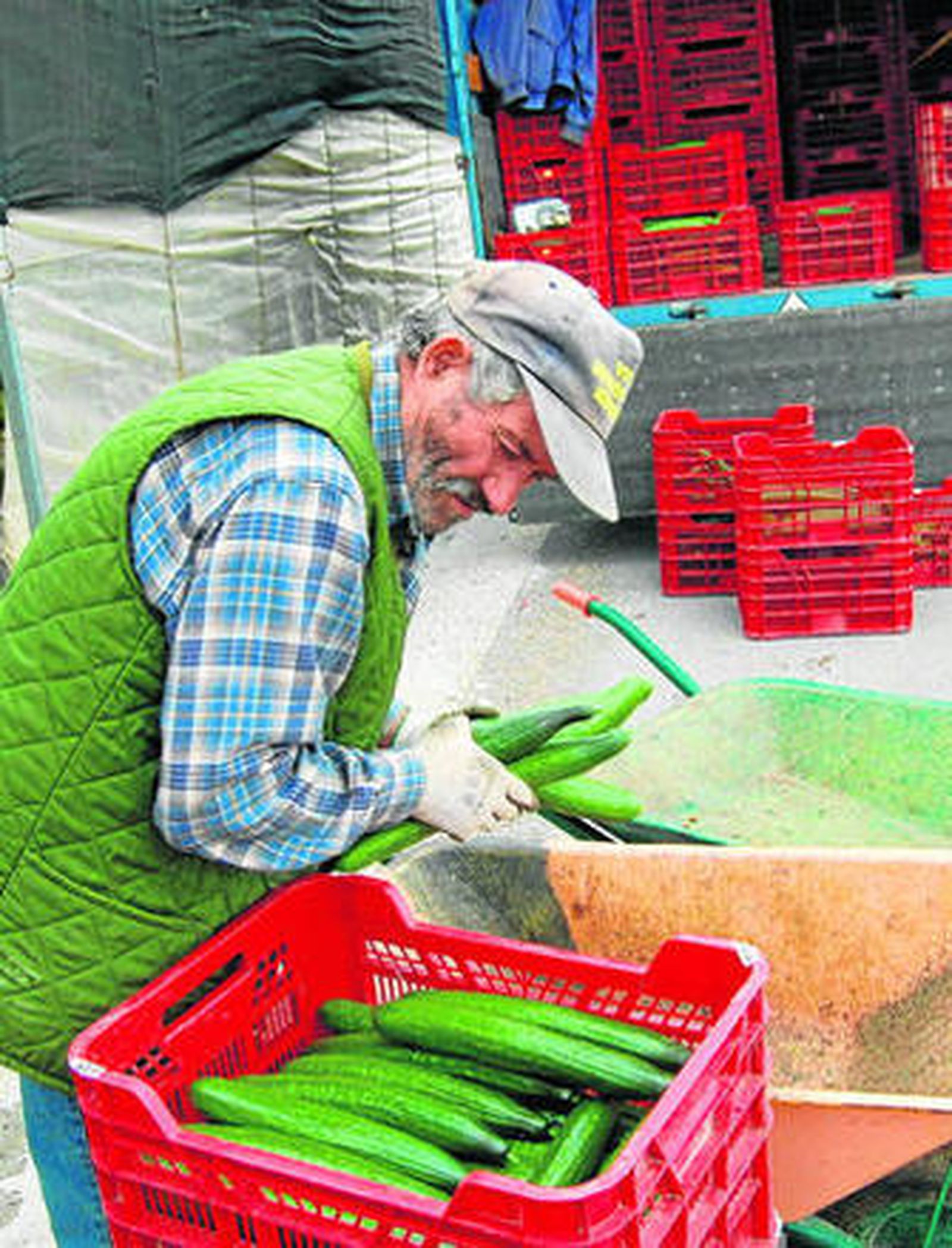 Transporte de recogida en la Costa Tropical.