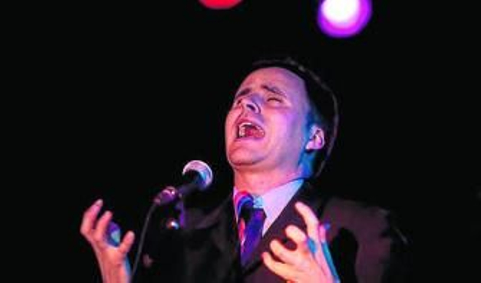 El cantaor, durante una actuación.