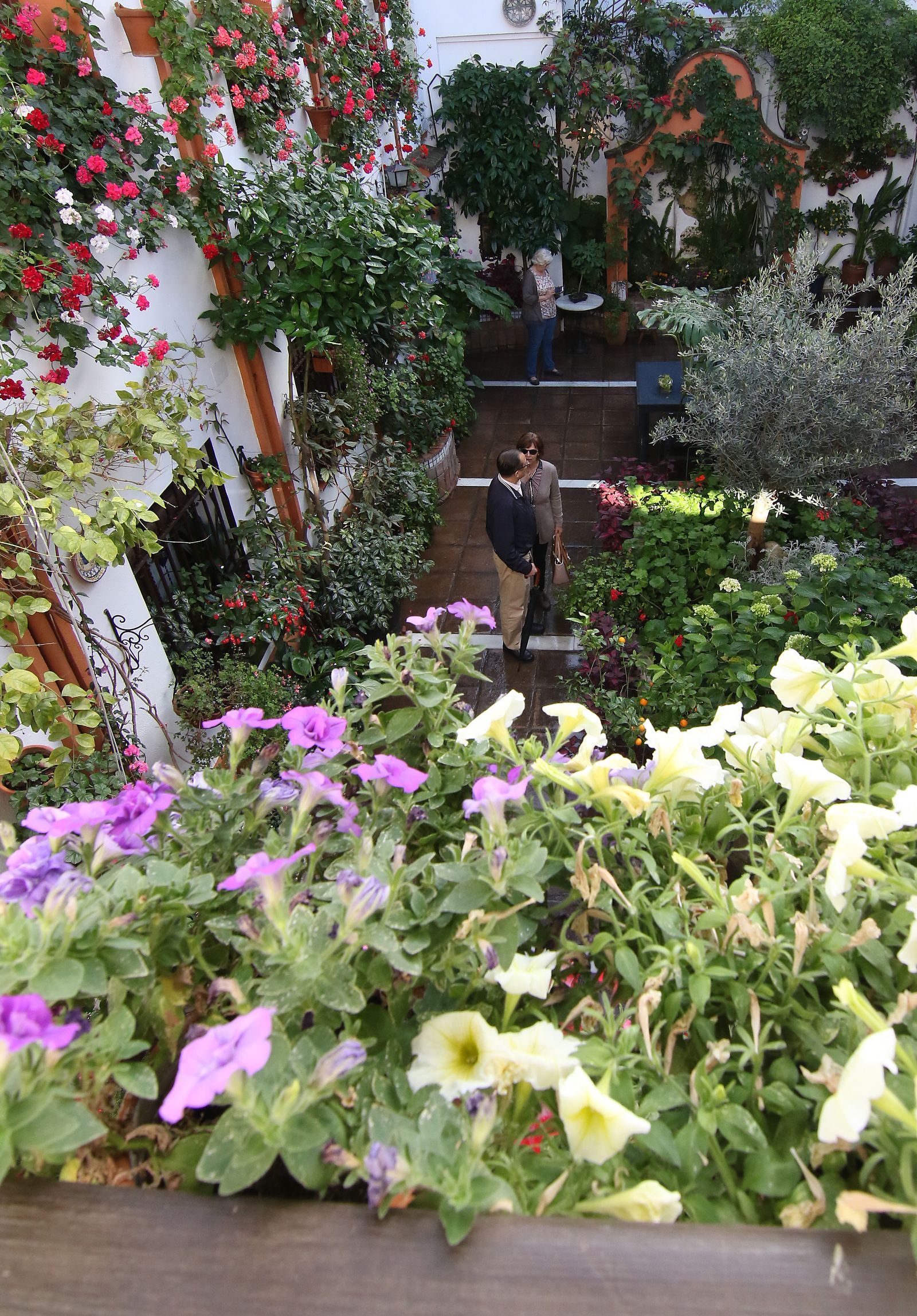 Los patios ganadores en el concurso de los Patios de Córdoba 2017