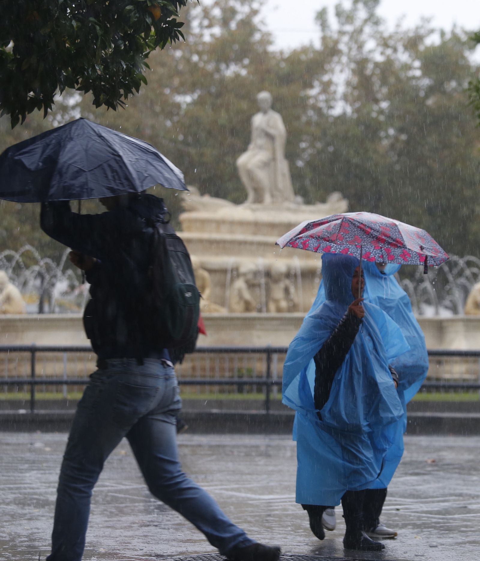 Las imágenes del temporal en Sevilla