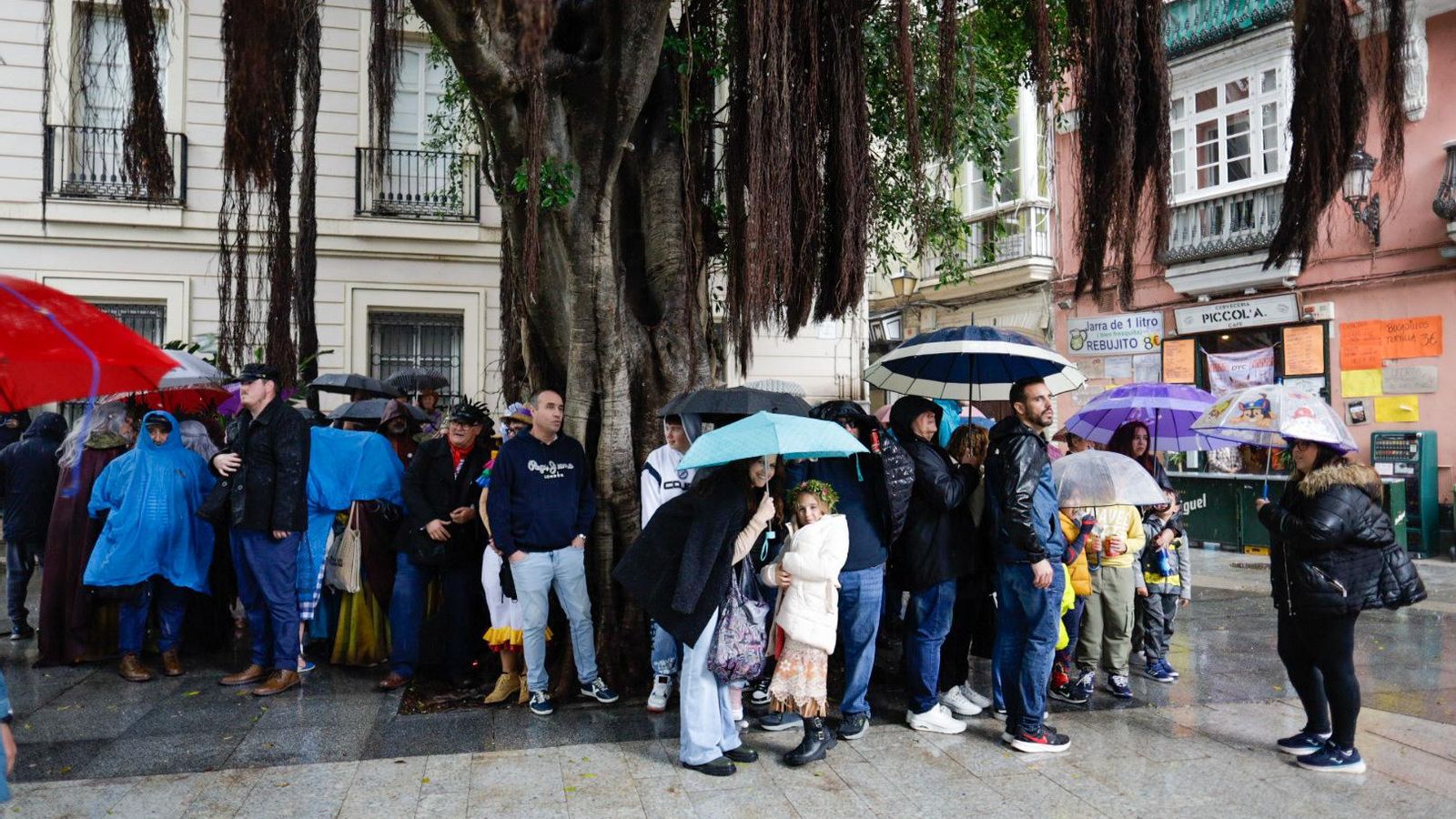 Las mejores imágenes del primer domingo de Carnaval de Cádiz
