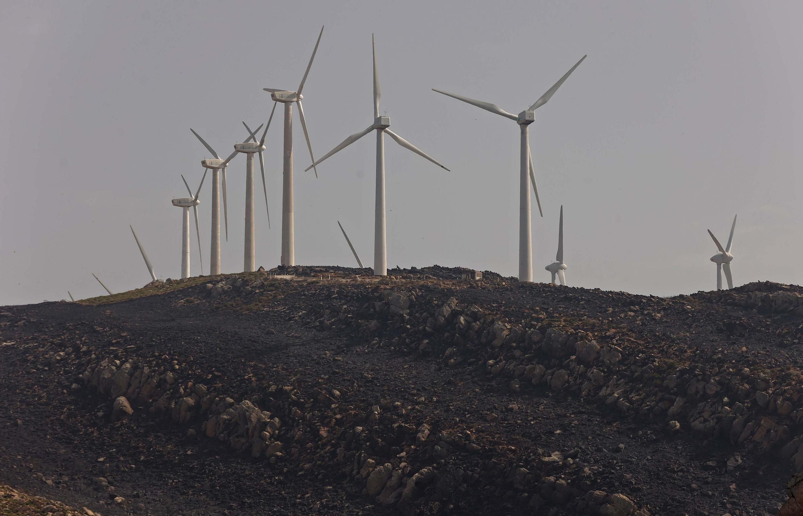 Fotos de los efectos del incendio en el monte de La Peña en Tarifa