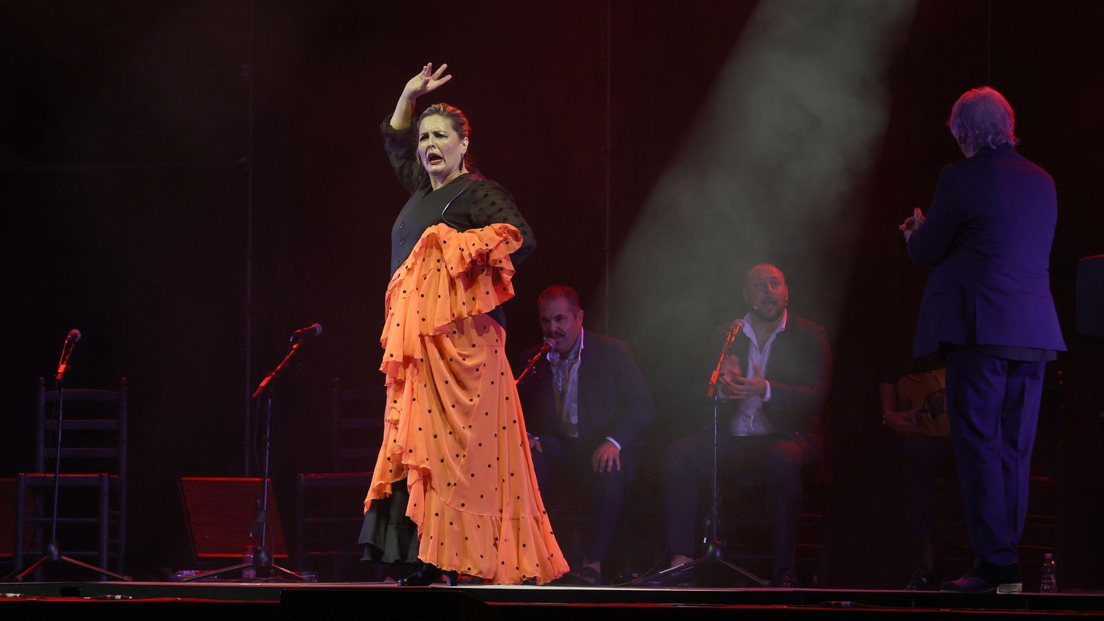 Imágenes de la 58 edición de la Fiesta de la Bulería en Jerez