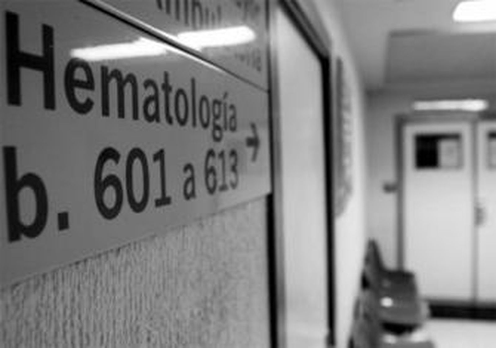 La Academia de Medicina hará un informe pericial del caso de los hongos