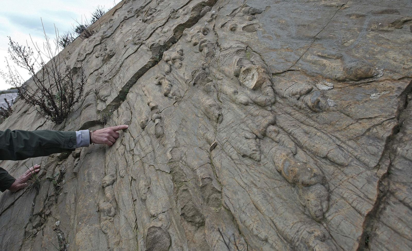 Flysh del Campo de Gibraltar, en imágenes