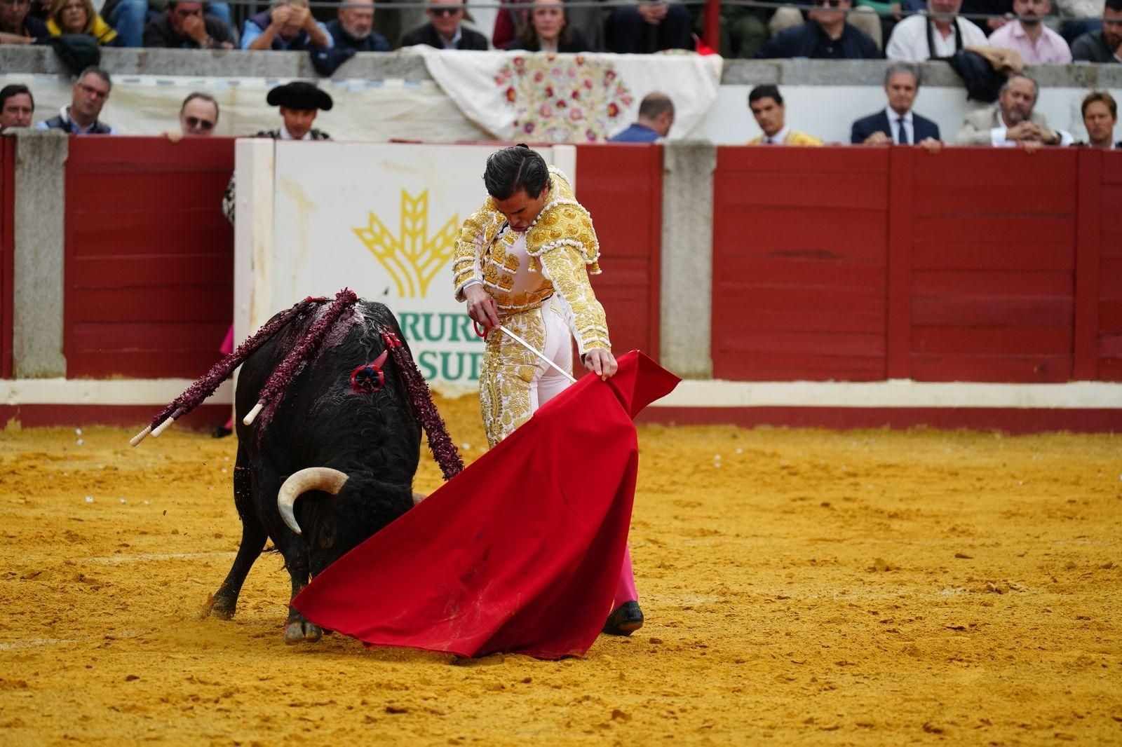 La corrida de primavera con Talavante, Pablo Aguado y Juan Ortega en Pozoblanco, en imágenes