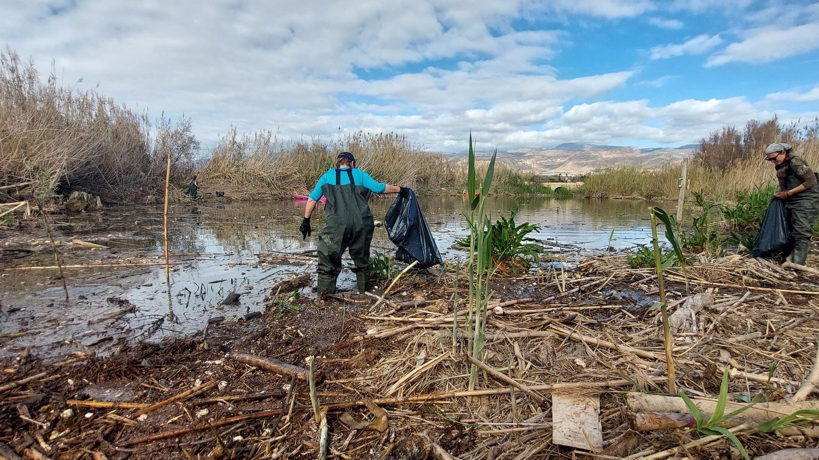 Más del 60% de los residuos retirados fueron de origen agrícola.