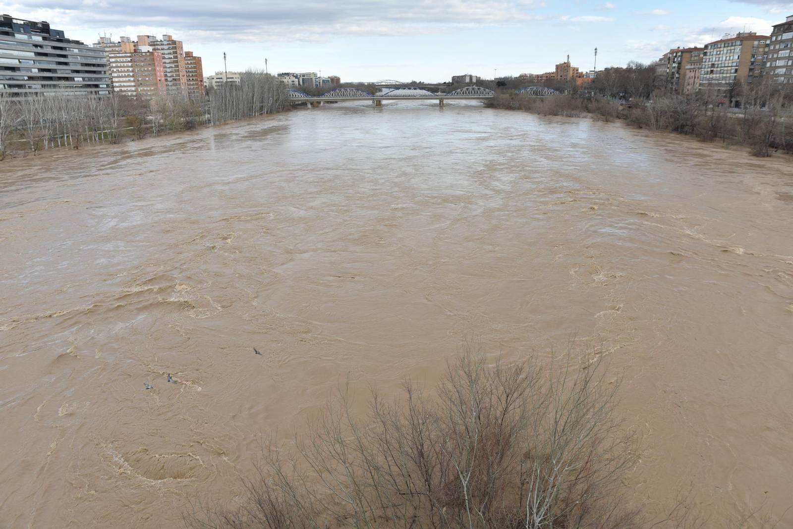 Imágenes de la crecida del río Ebro a su paso por Zaragoza