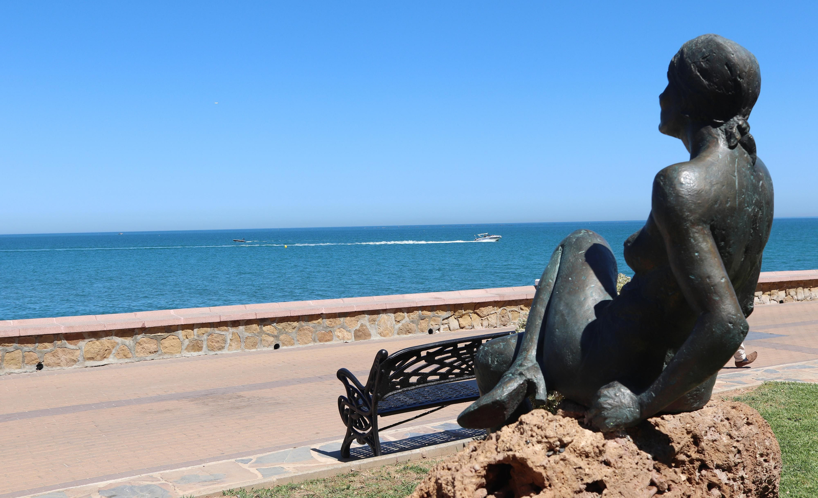 Los nuevos inquilinos en la punta de los gatos de Torremolinos