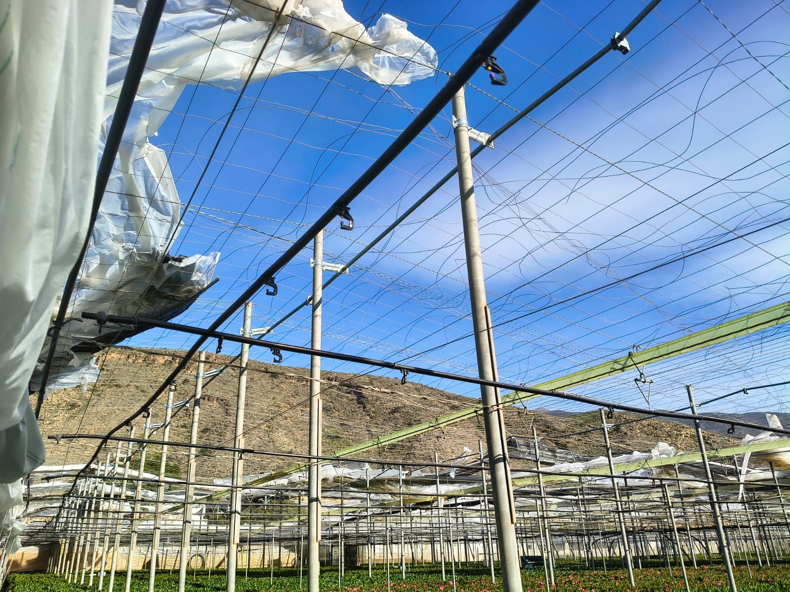 Almería, una de las provincias más afectadas por la borrasca Oriana.