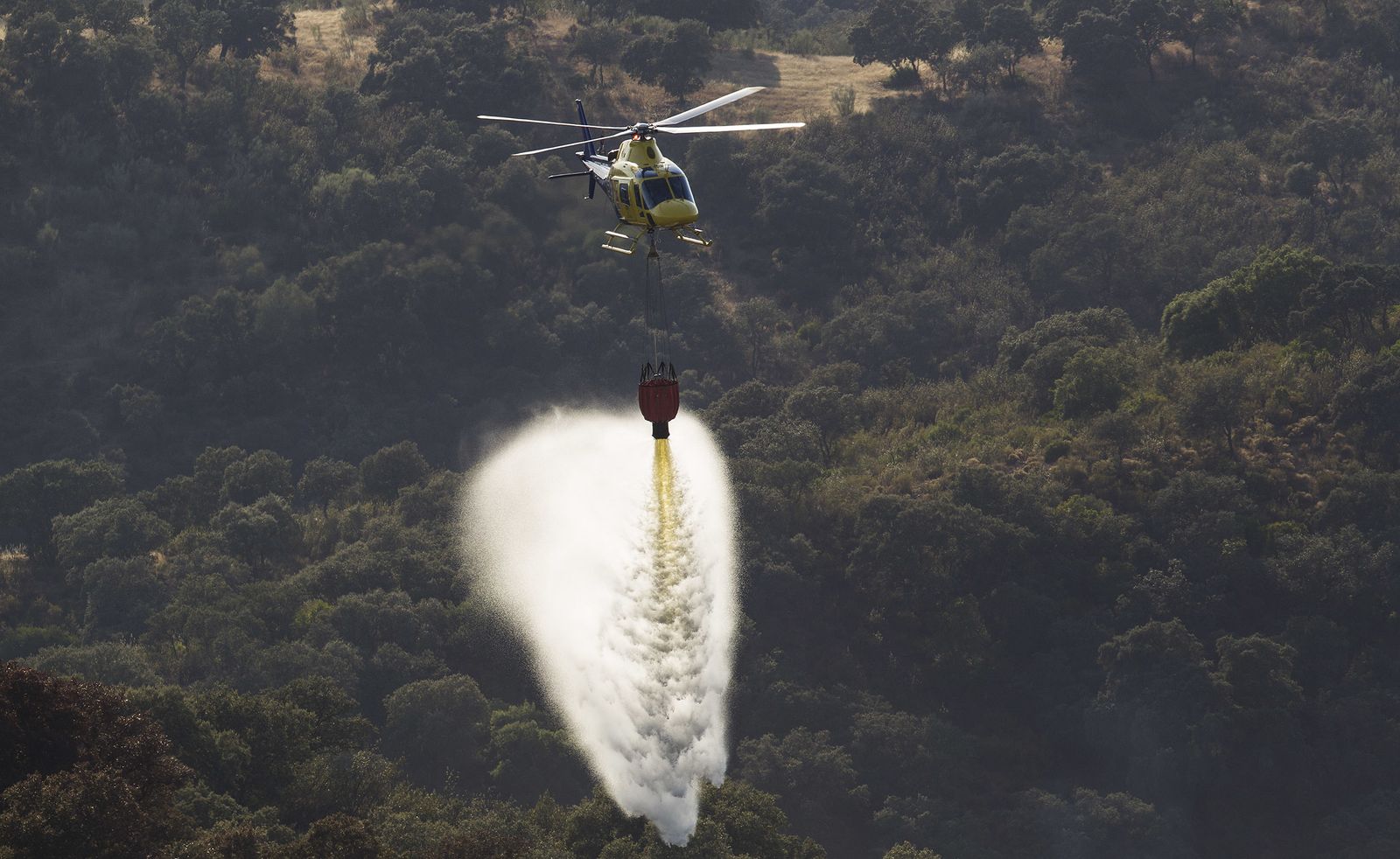 El incendio forestal de El Ronquillo, en imágenes