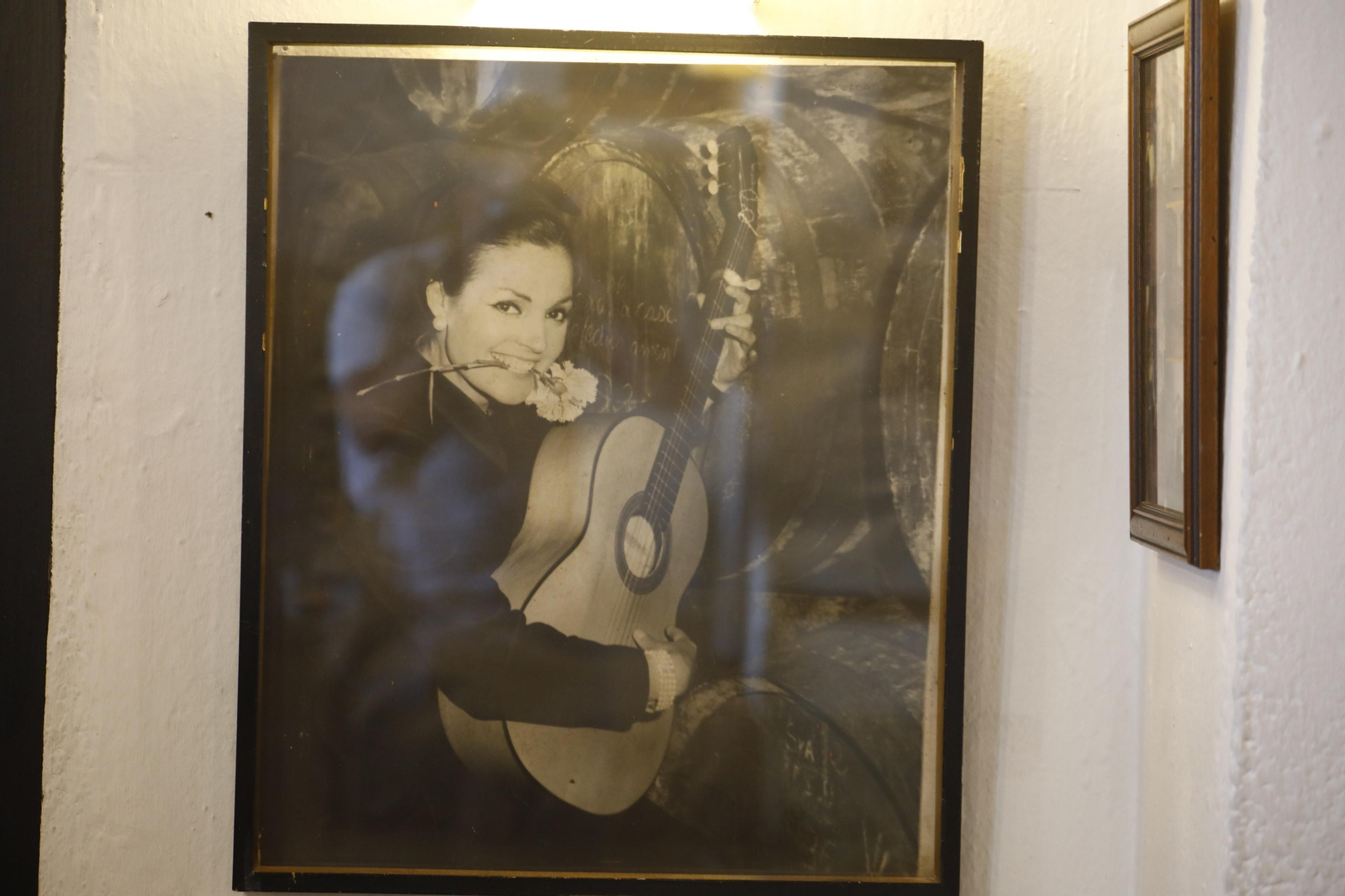 Bodegas Campos, el auténtico museo de la fama de Córdoba, en fotos