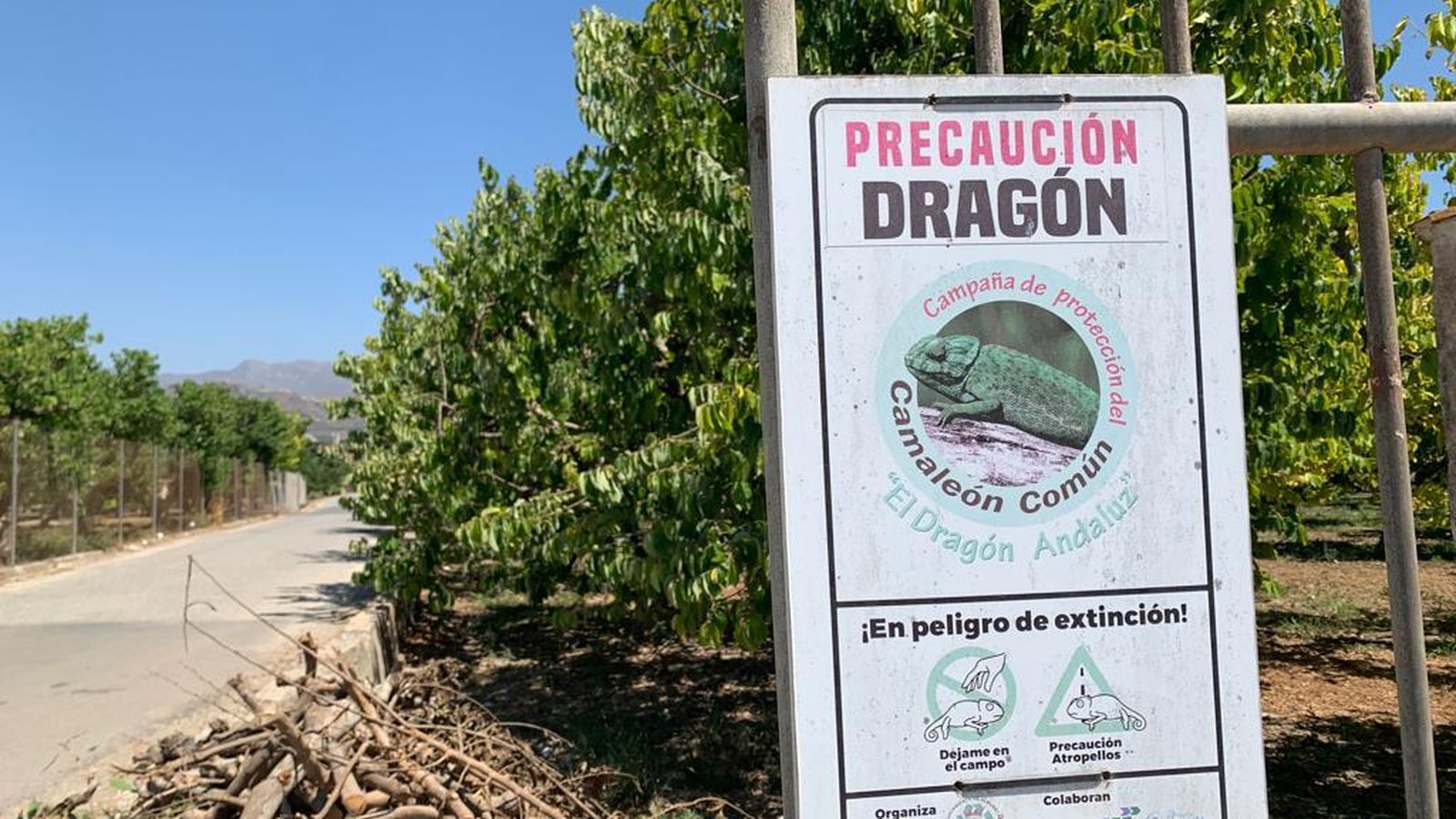 Uno de los carteles que se pueden ver por el municipio