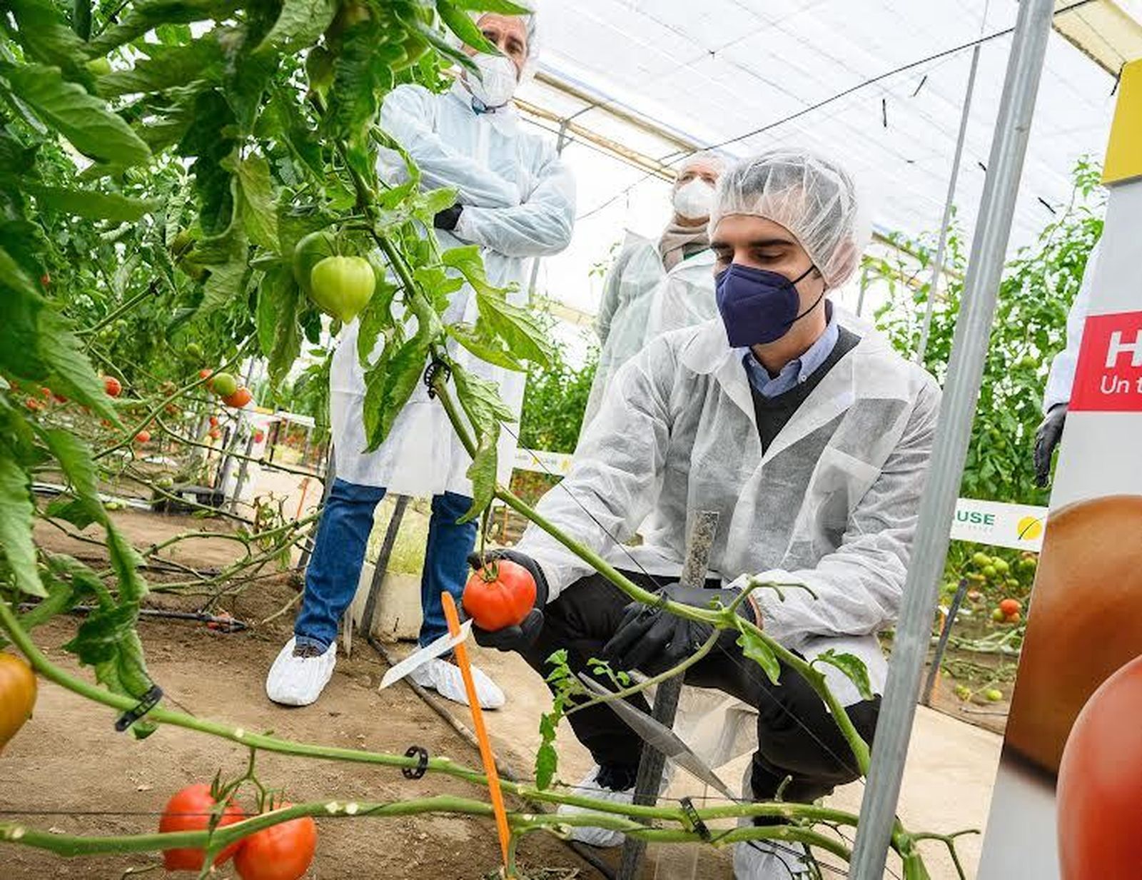 La agricultura, esencial y estratégico para el Ayuntamiento de Almería