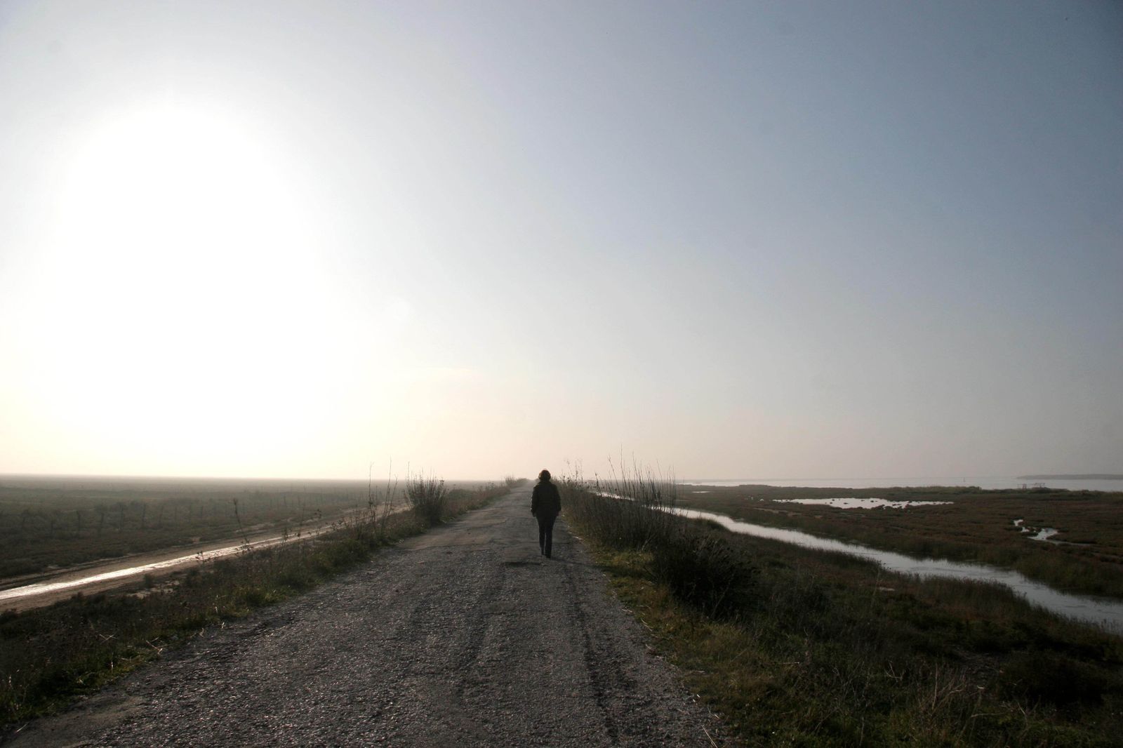 Marismas en el término municipal de Trebujena.
