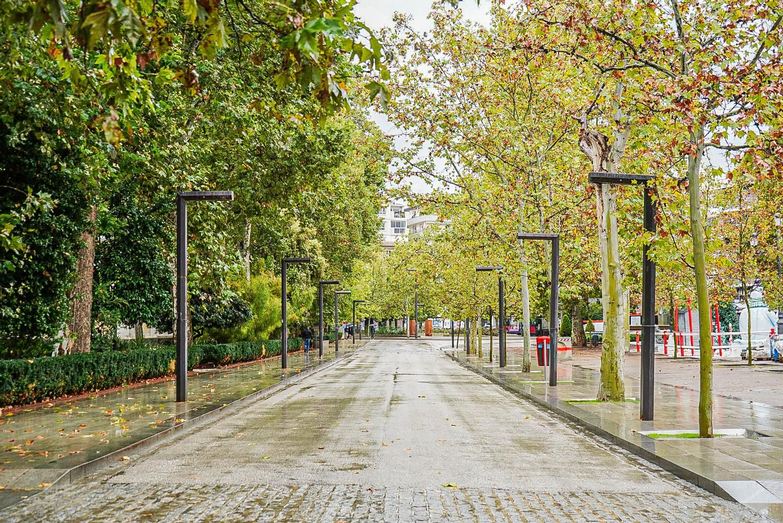 El Paseo del Salón, desierto a primera hora. El Paseo del Salón, desierto a primera hora.