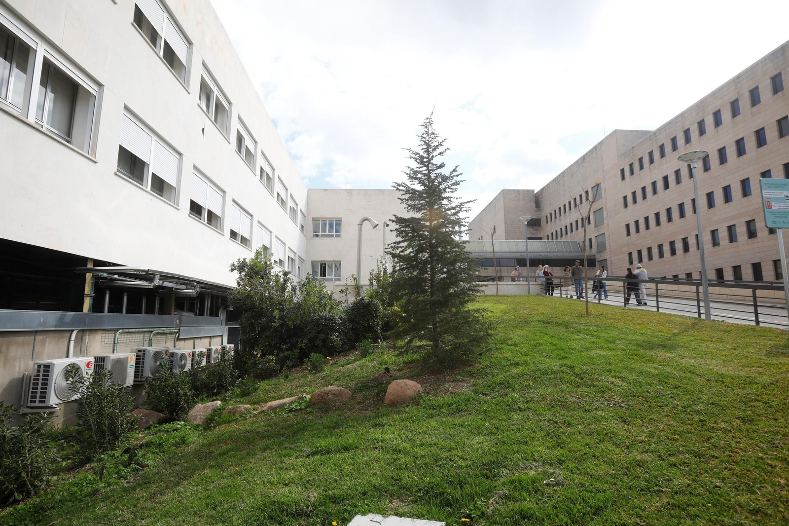 Las zonas verdes repobladas del Hospital Reina Sofía de Córdoba, en imágenes