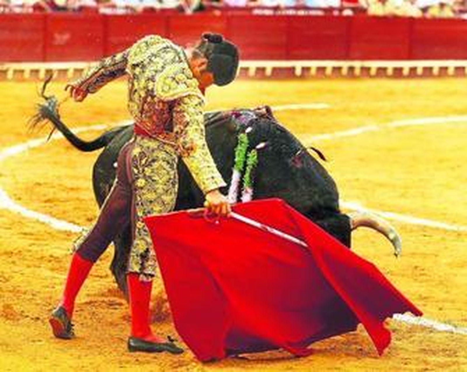 El torerísimo inicio de faena de Morante ante su segundo toro. Tras rematar se desmonteró y brindó al público.