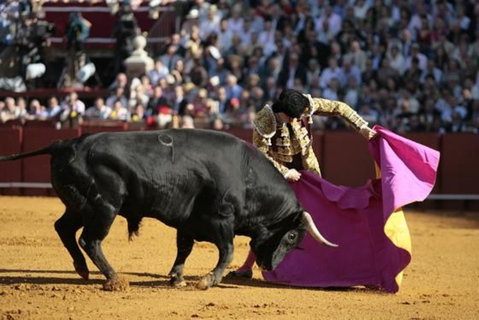 El Juli con el primero de la tarde en la treceava del abono de La Maestranza.

Foto: Juan Carlos Muñoz