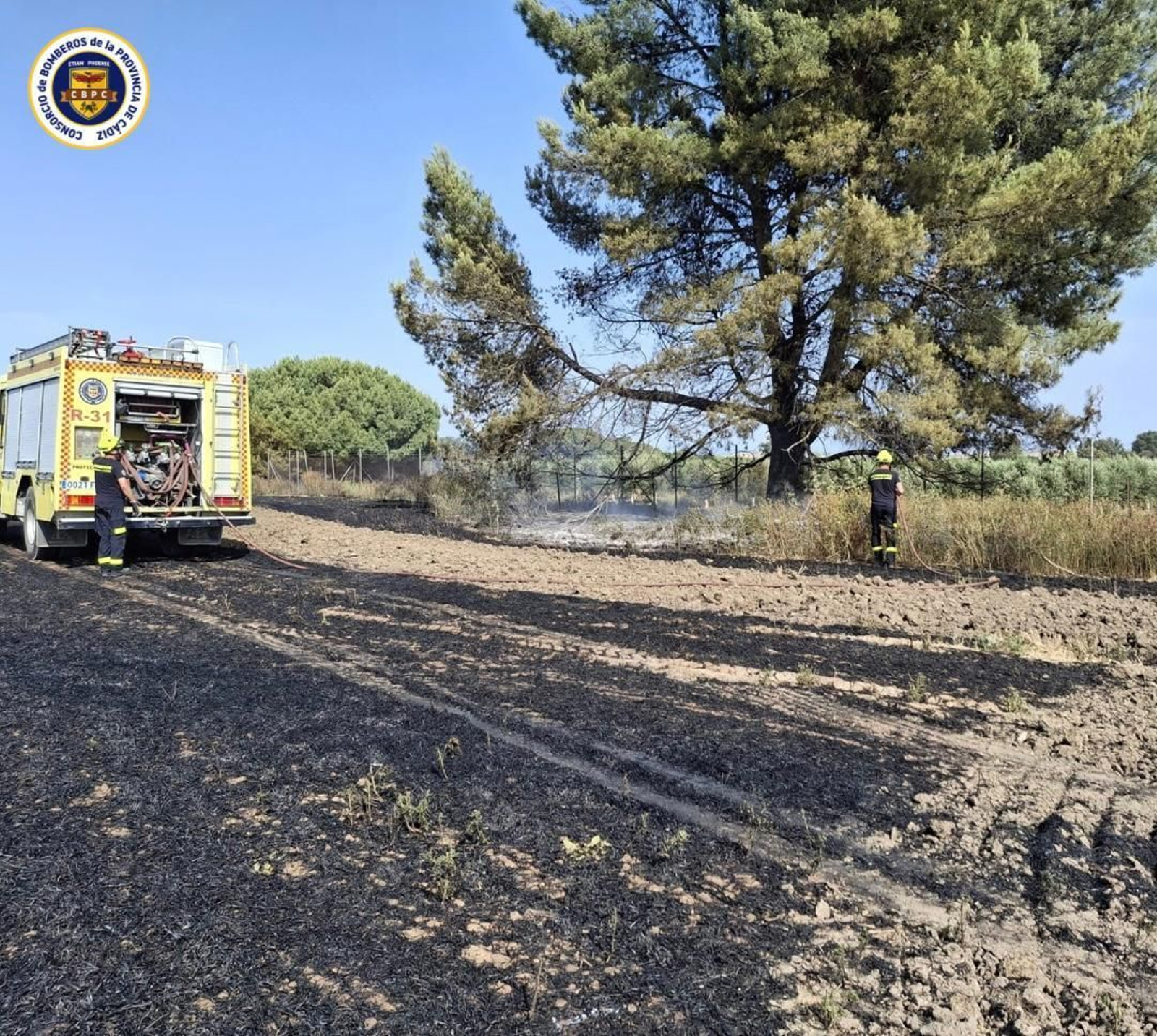 Bomberos sofocan dos incendios en trigales de Jerez Bomberos sofocan dos incendios en trigales de Jerez