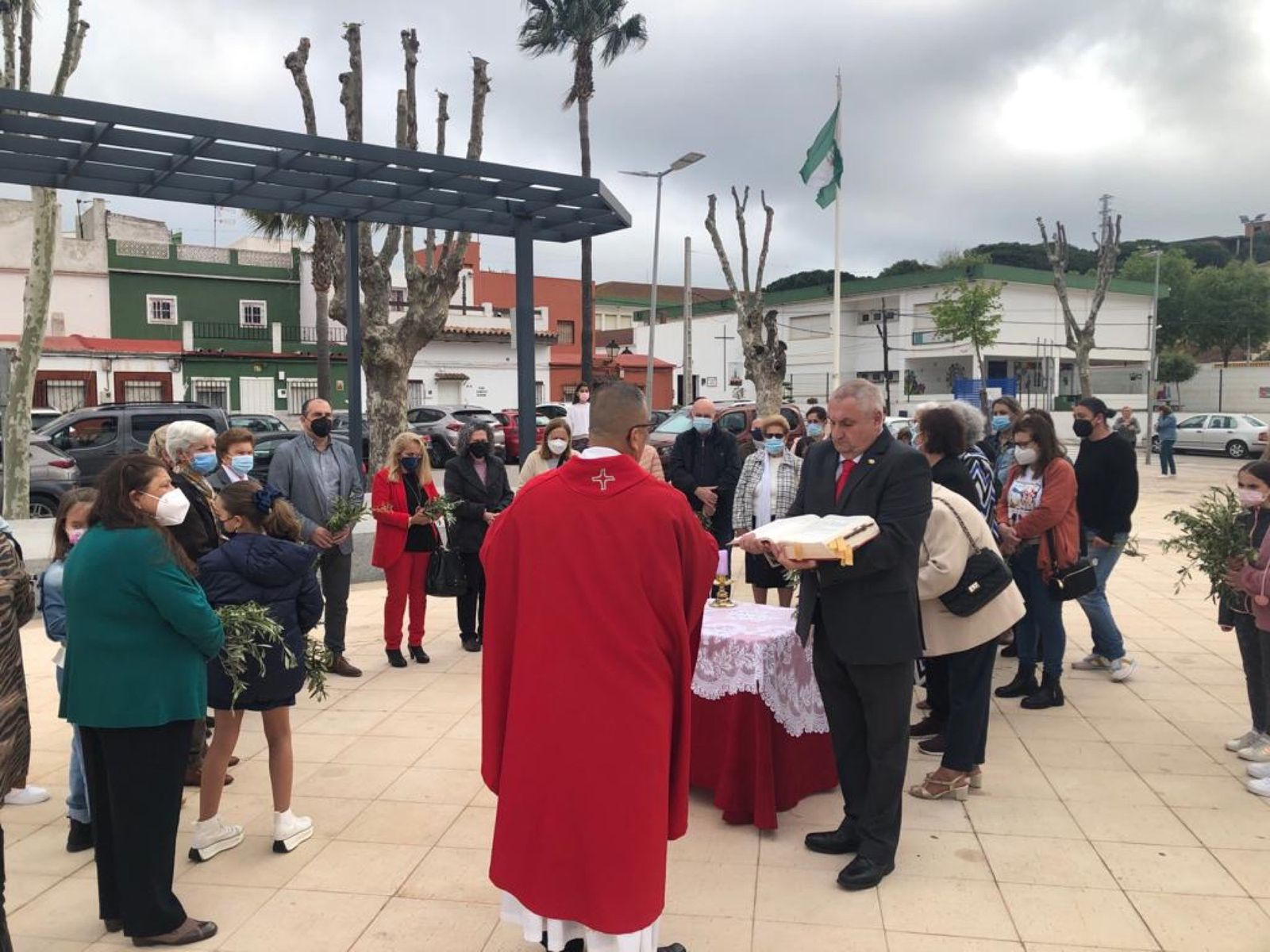 Las fotos del domingo de palmas y olivos en San Roque