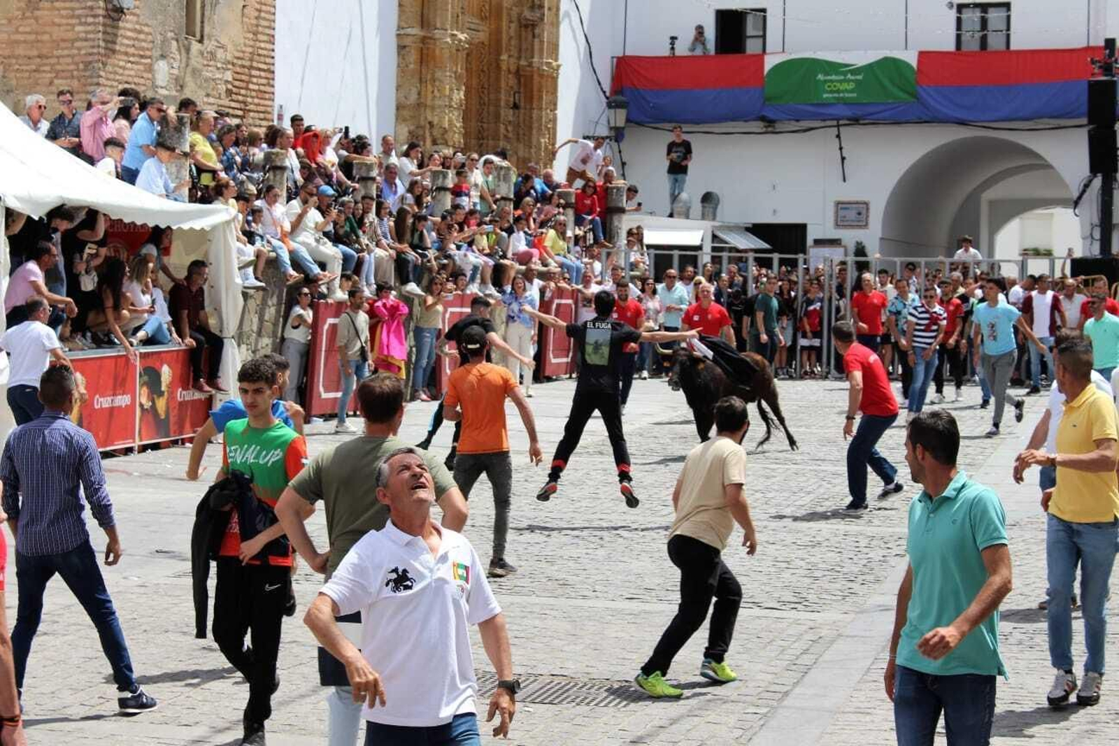 Festividad de San Jorge, patrón de Alcalá de los Gazules