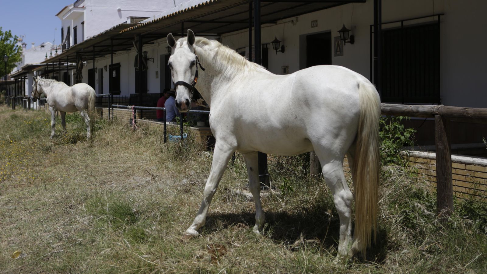 Imágenes de un viernes de Rocío sin romería