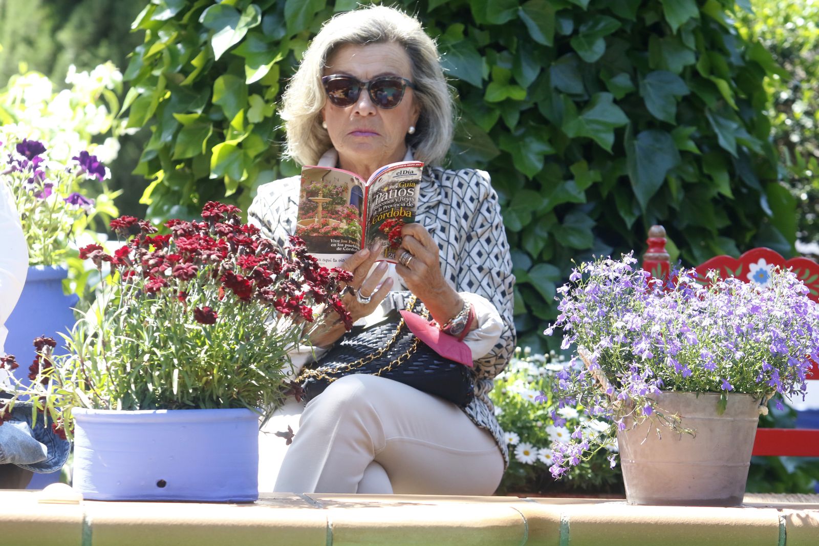 La presentación de la I Guía de Patios de la Provincia, en imágenes