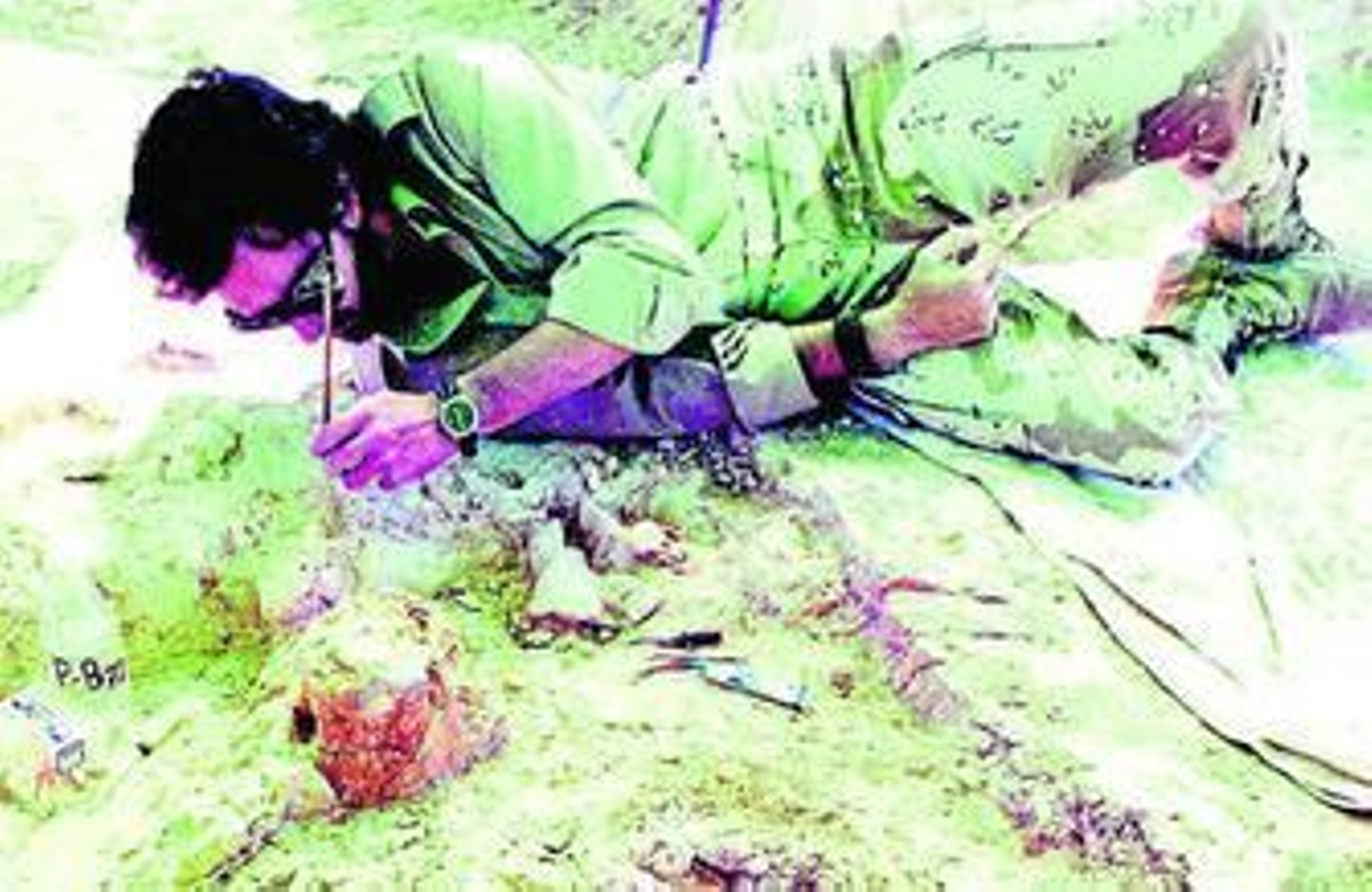 Un arqueólogo fortalece un fósil de elefante en uno de los yacimientos de Orce.