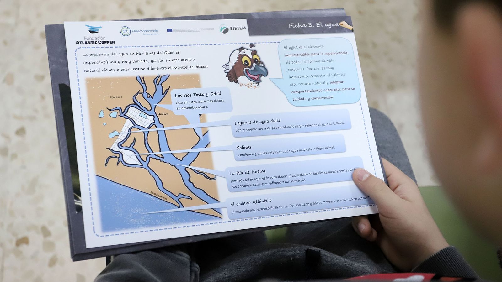 Un escolar con una ficha de Marismas del Odiel