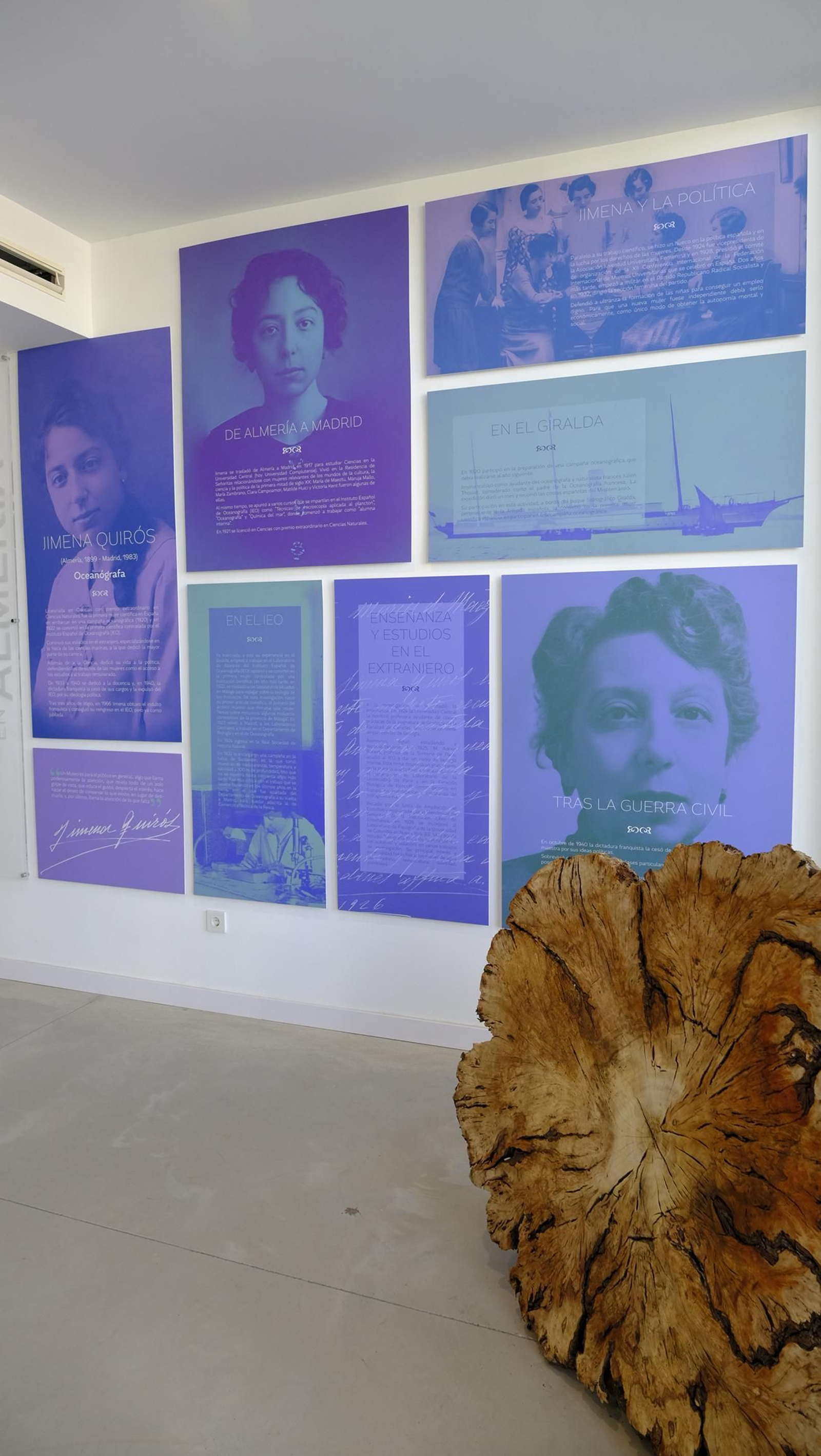 Descubre en estas fotos las maravillas que esconde el Pabellón de Historia Natural de la UAL